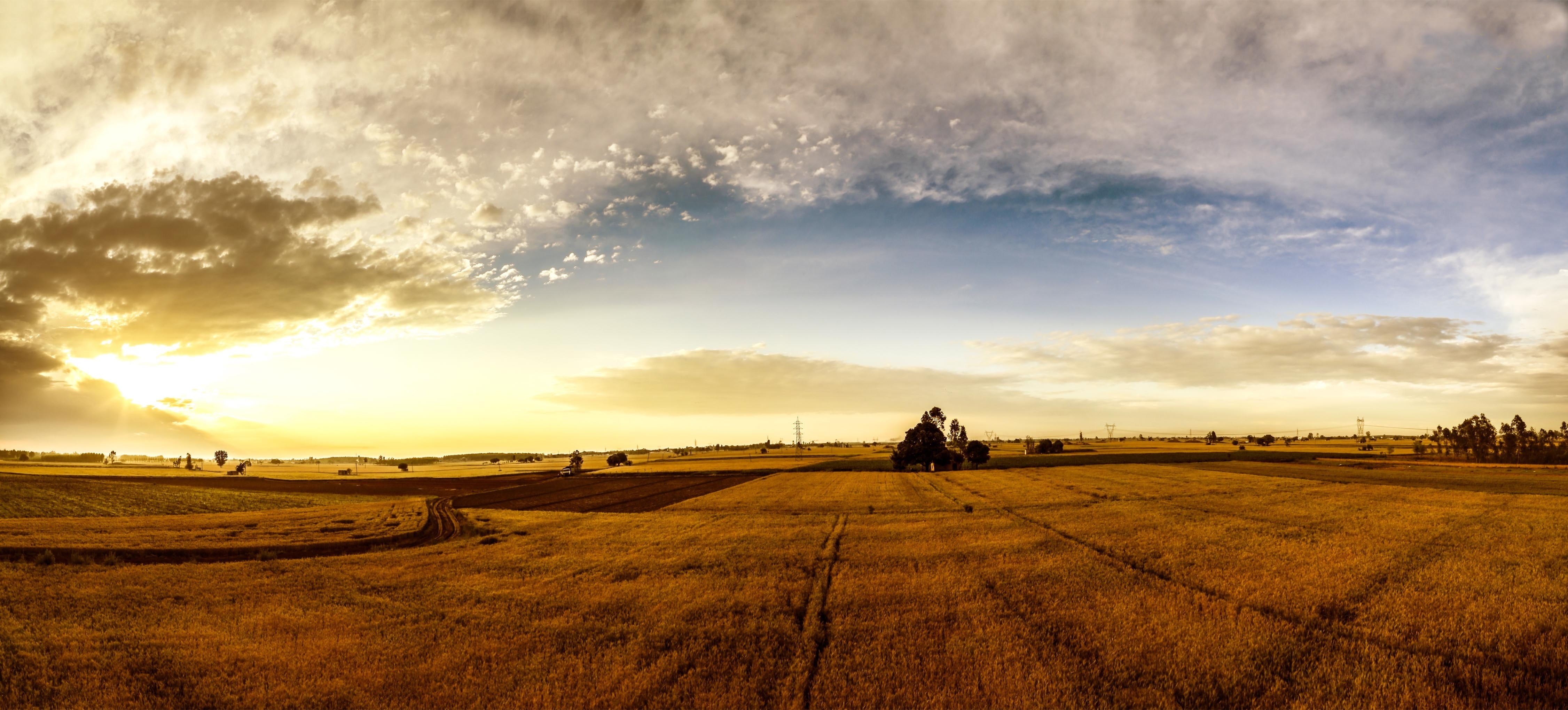 environment, rural scene, punjab, panoramic, rural, rice, clouds, no people, sky, outdoors, blue, cloud - sky, tranquility, fields, nature, tranquil scene, HD Wallpaper