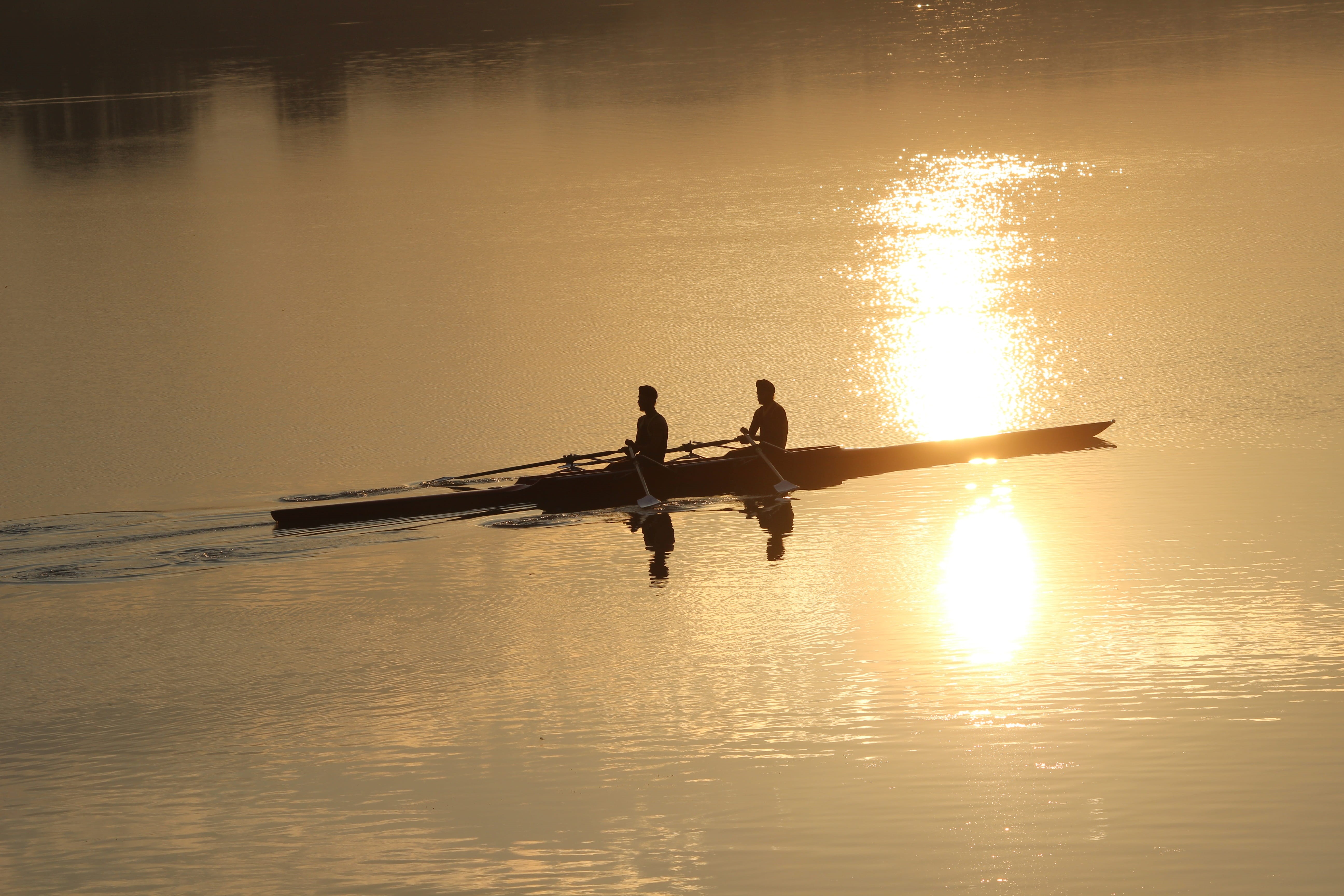 nature, nautical vessel, oar, waterfront, real people, punjab, sunlight, morning, 5K, rowing, sukhna, mode of transportation, people, leisure activity, HD Wallpaper
