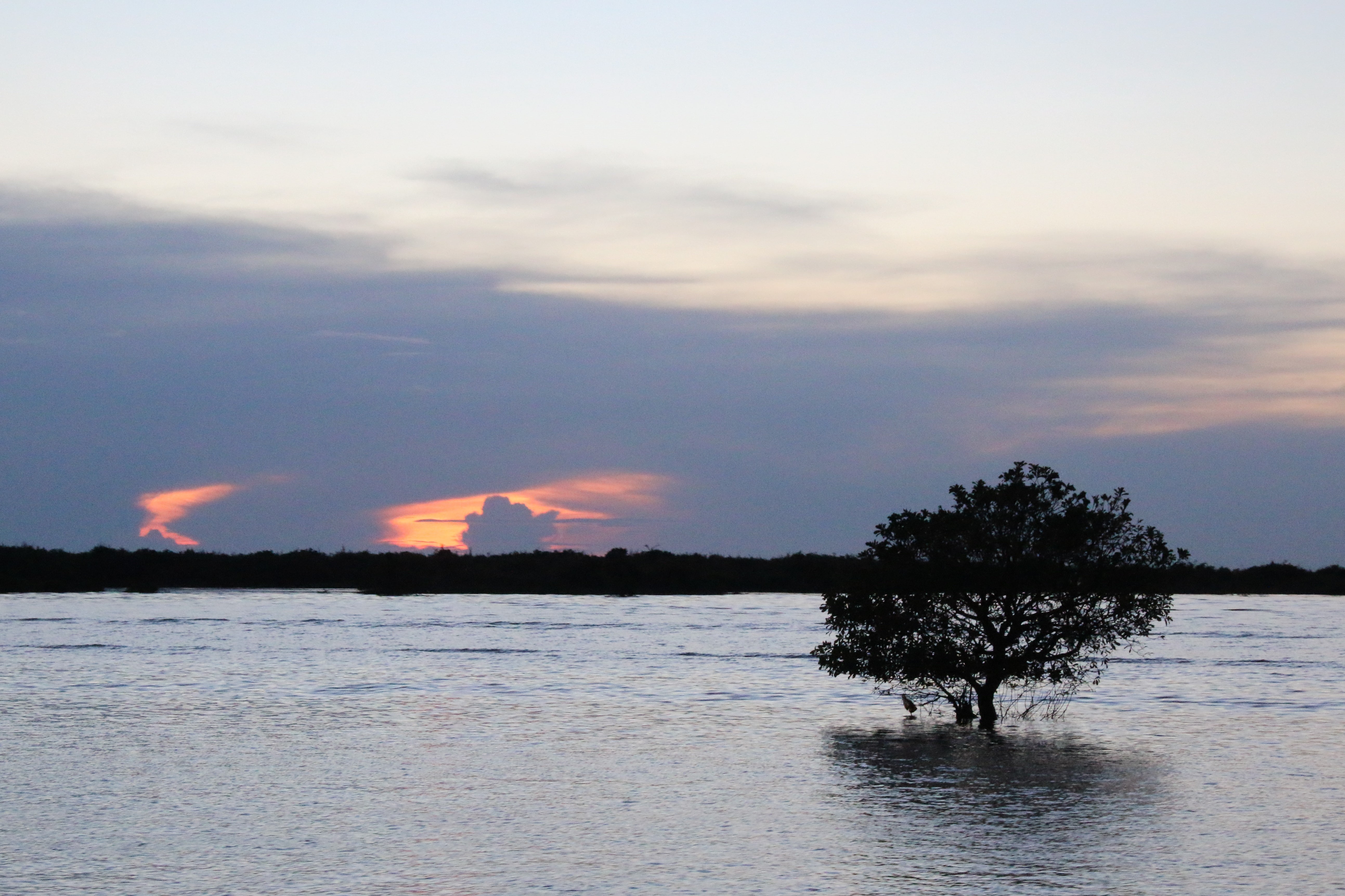 lake, plant, nature, tranquility, idyllic, 5K, silhouette, sunset, cloud - sky, no people, Siem Reap, blue, trees, sea, non-urban scene, tranquil scene, HD Wallpaper