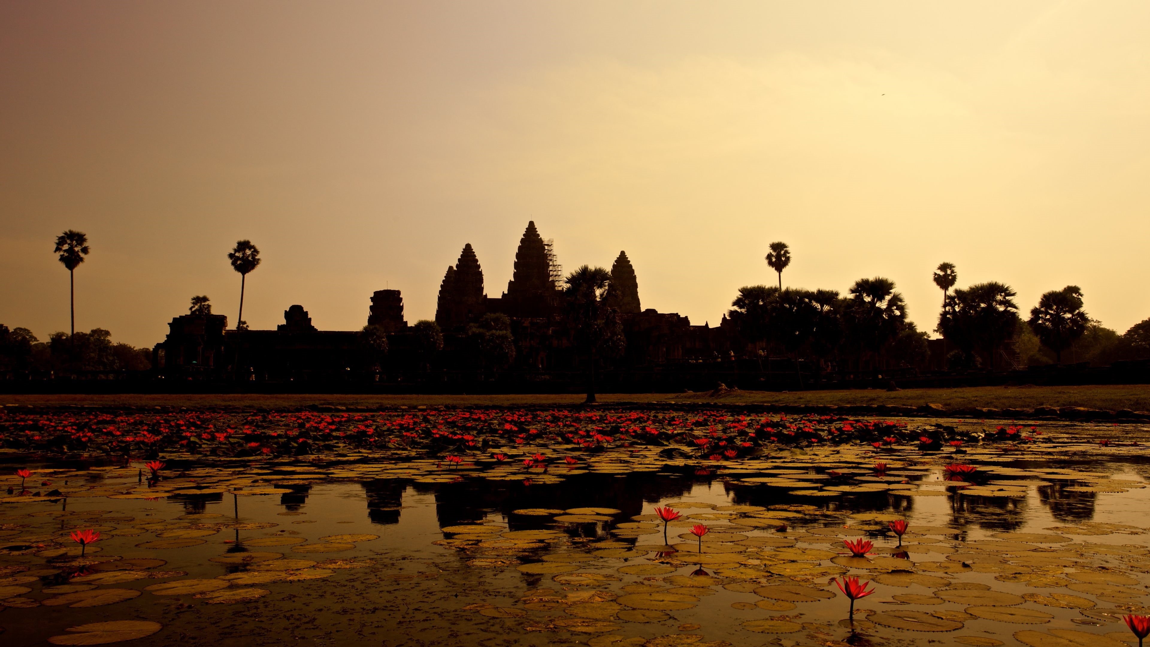 outdoors, angkor wat, beauty in nature, sunset, built structure, siem reap, no people, nature, orange color, cambodia, dawn, lotus, evening, belief, tourism, HD Wallpaper