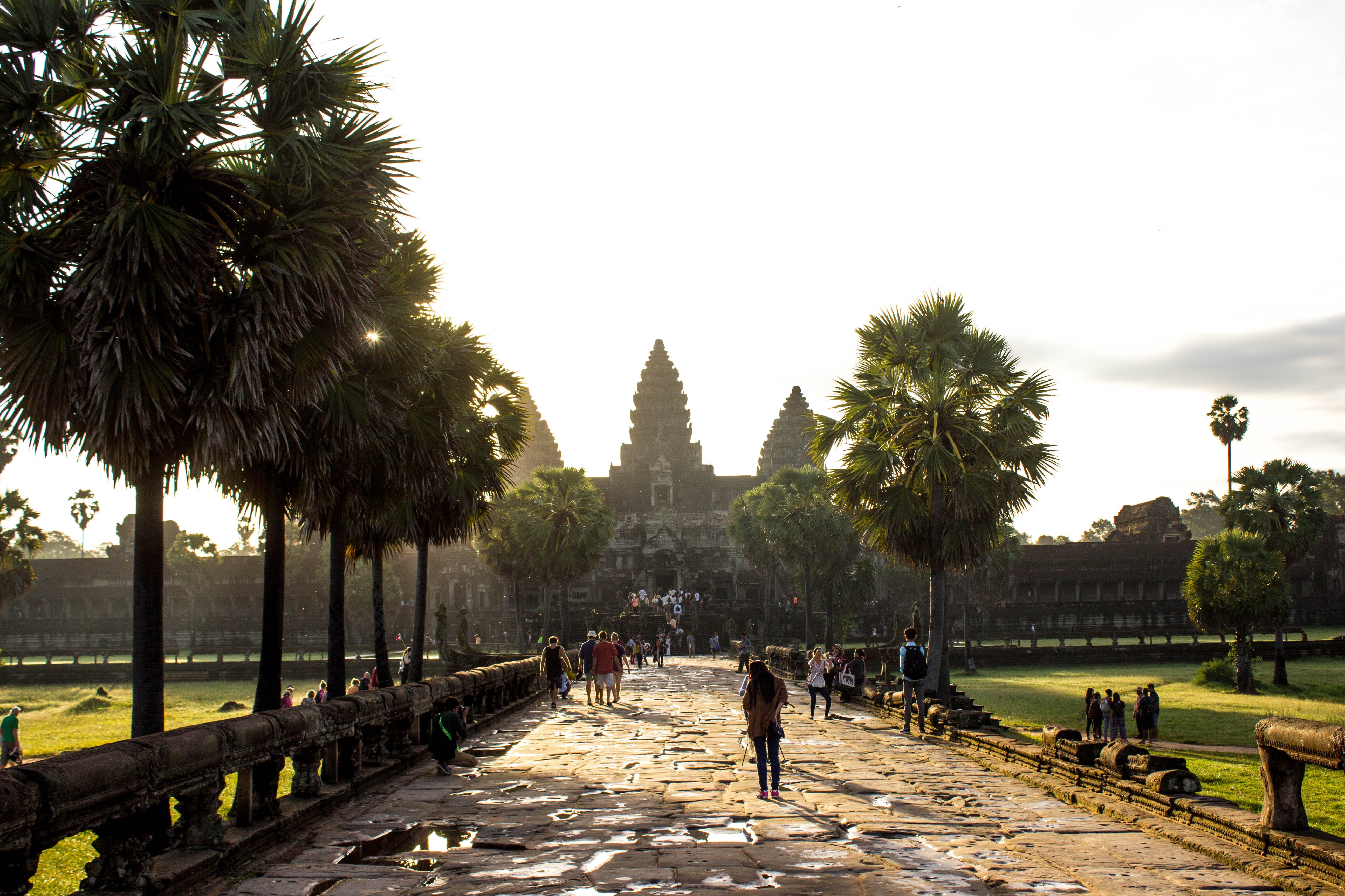 crowd, walking, large group of people, day, built structure, travel, tourism, sky, 5K, angkor wat, tree, krong siem reap, real people, cambodia, men, plant, HD Wallpaper
