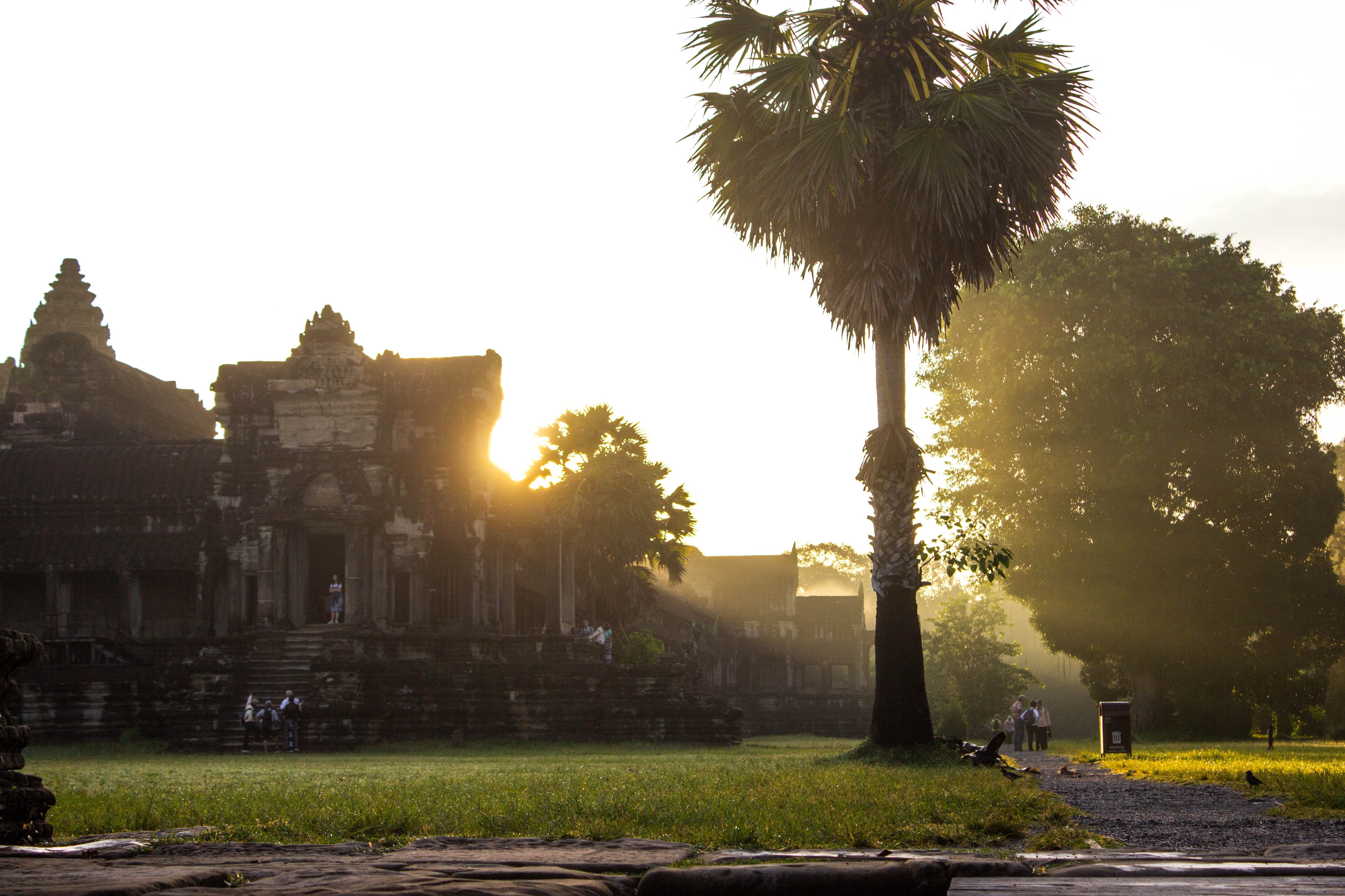 city, plant, street, sunlight, park, growth, building, krong siem reap, architecture, built structure, real people, sunrise, tree, sunset, angkor wat, temple, HD Wallpaper