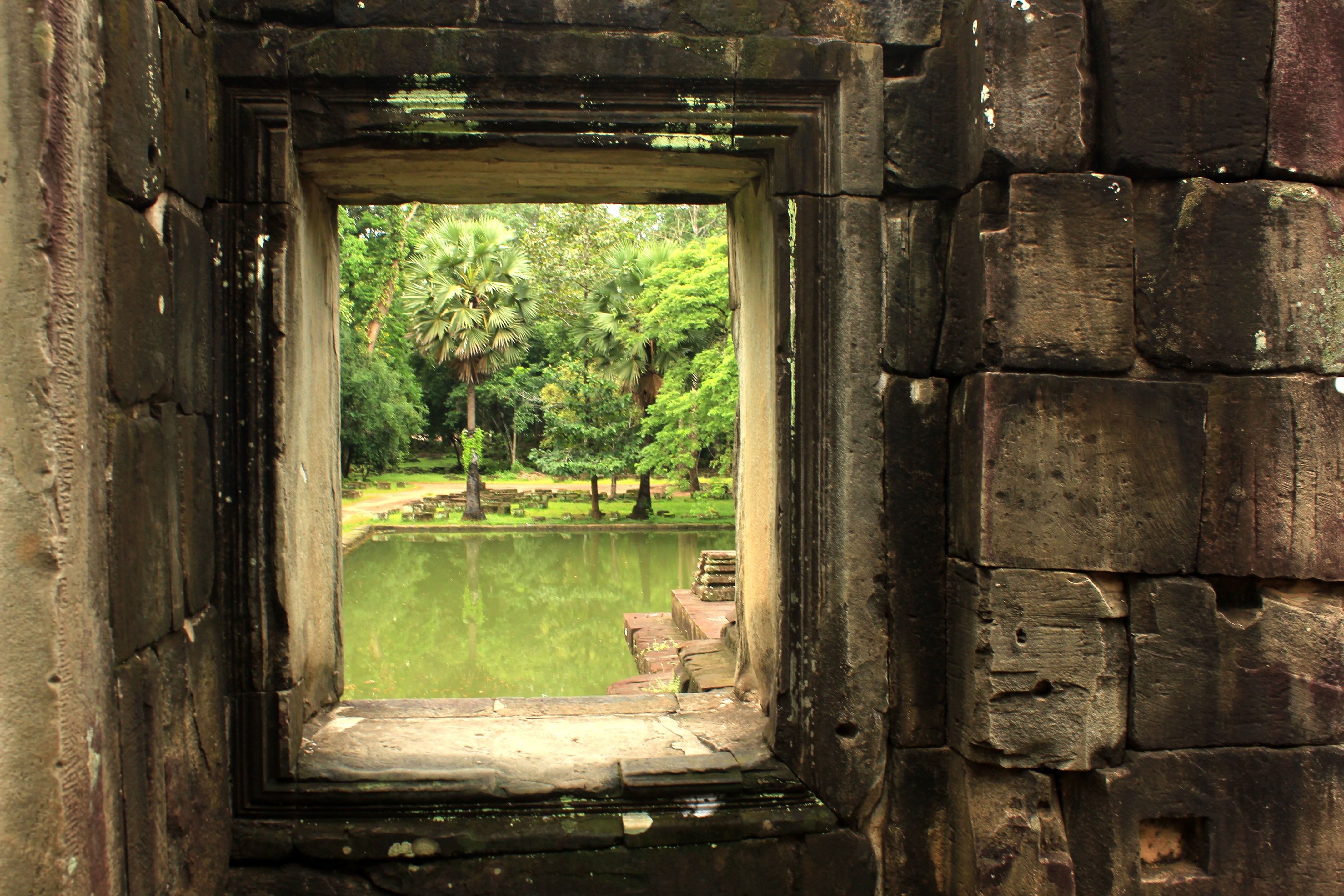 architecture, ruins, window, antique, plant, angkor, archeology, reap, old, angkor watt, water, cambodia, nature, view, growth, green color, temple, day, HD Wallpaper