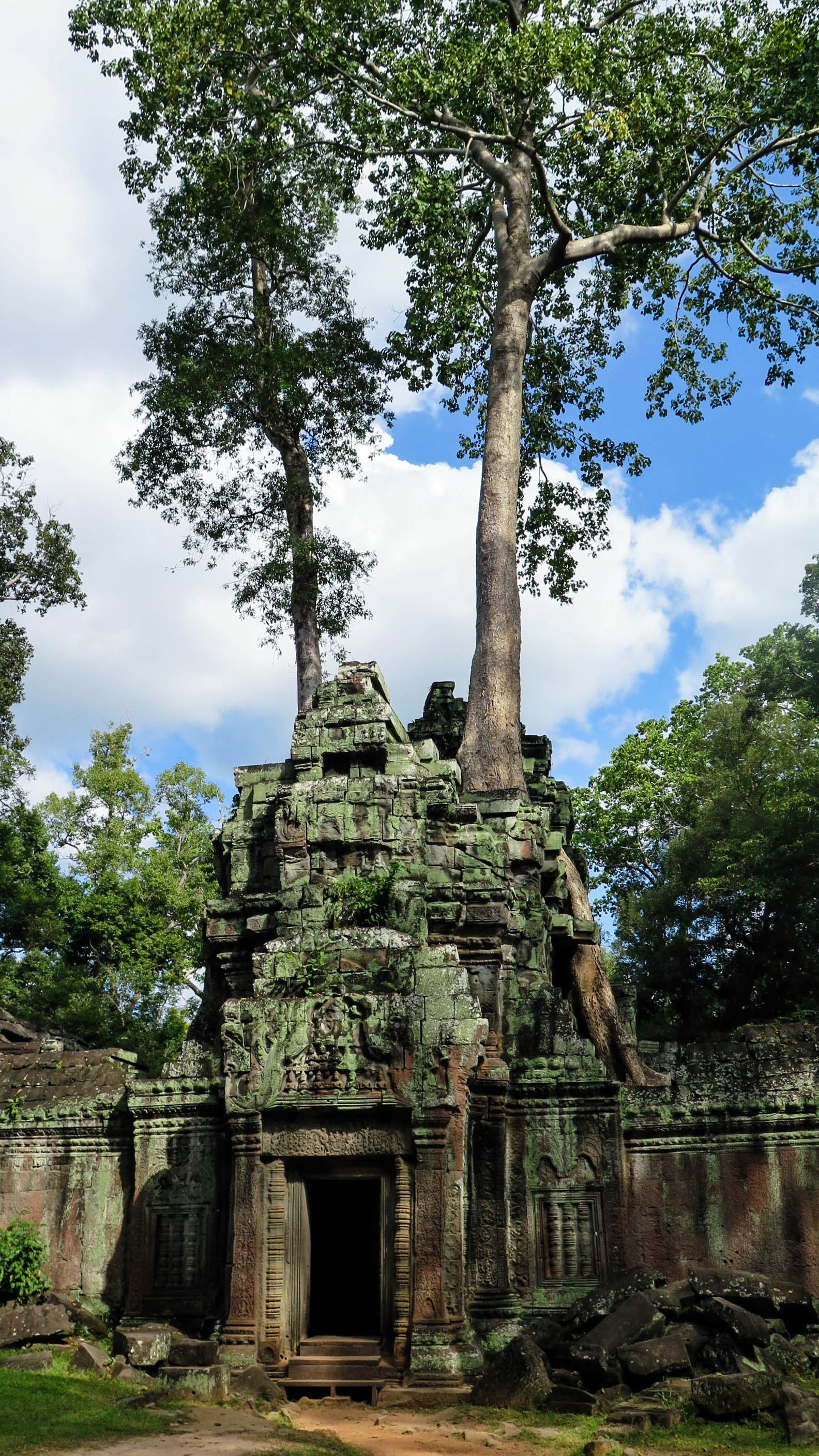 ancient, place of worship, building exterior, plant, root, jungle, no people, the past, low angle view, ancient civilization, history, angkor, day, old, Phone HD Wallpaper