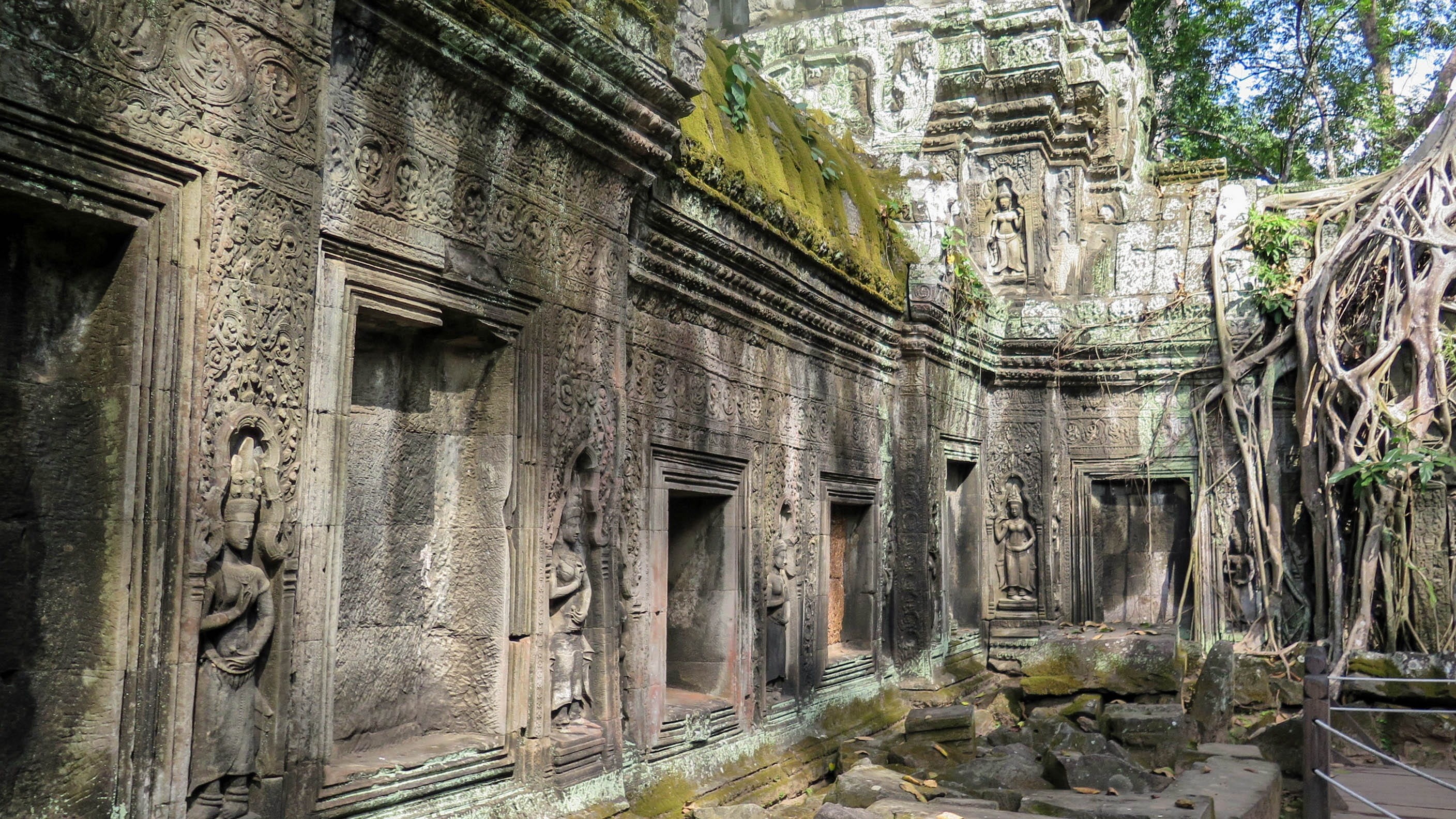old, built structure, cambodia, ruined, building exterior, obsolete, tree, abandoned, outdoors, jungle, history, ancient, ta prohm, run-down, deterioration, HD Wallpaper