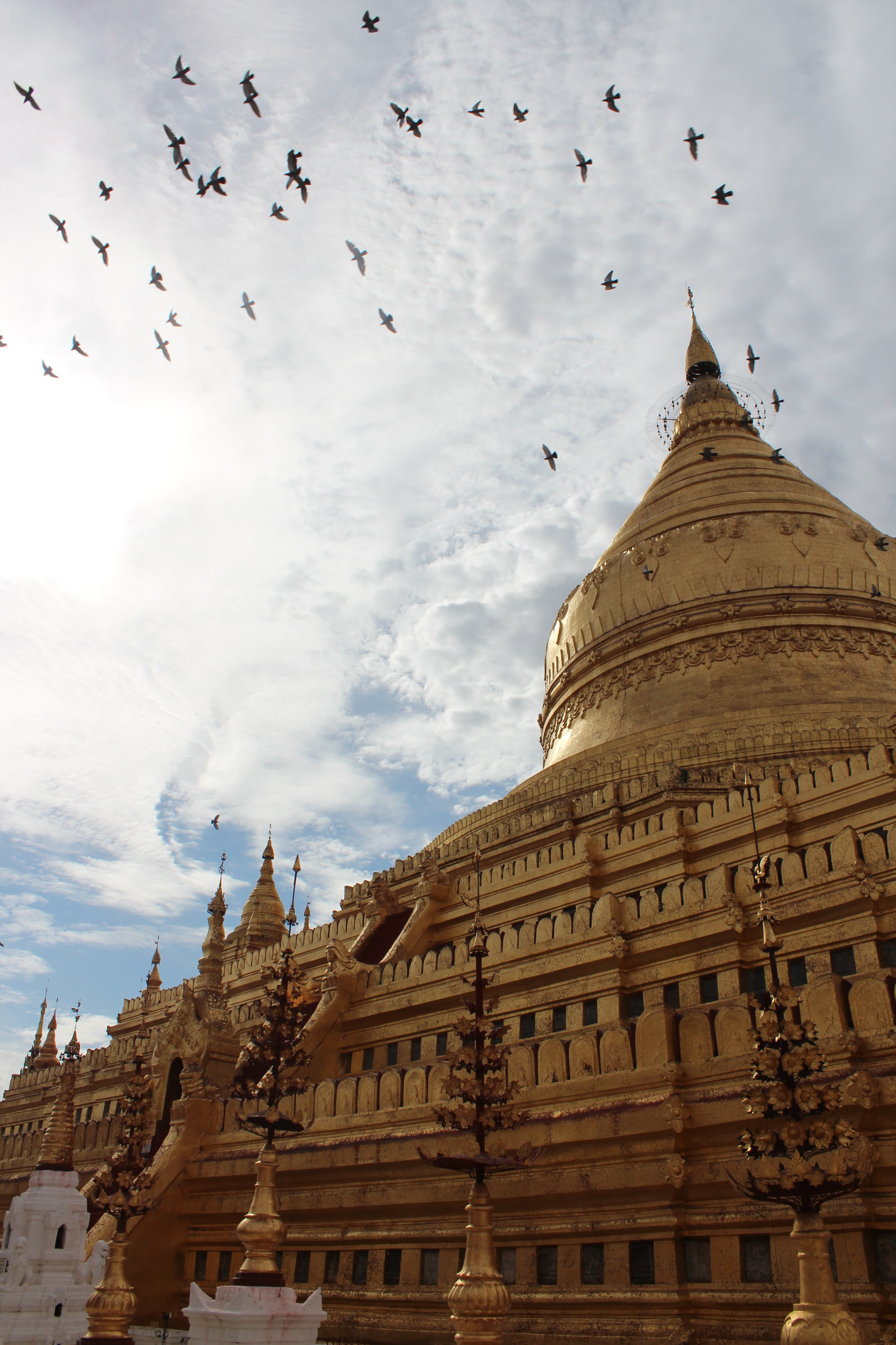 shwedagon, asia, stupa, belief, bird, low angle view, sky, vertebrate, myanmar, place of worship, day, spire, burma, temple - Building, buddhism, swedagon, Phone HD Wallpaper