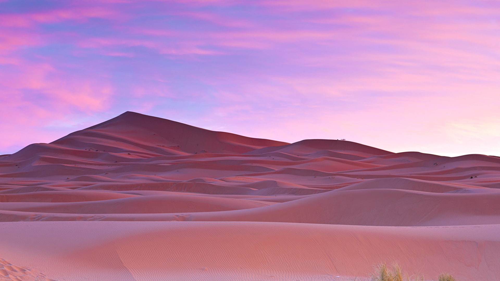 mountain, sand, Trees, Desert, Morocco, pink color, land, cloud - sky, tranquil scene, purple, climate, sand dune, scenics - nature, beauty in nature, environment, HD Wallpaper