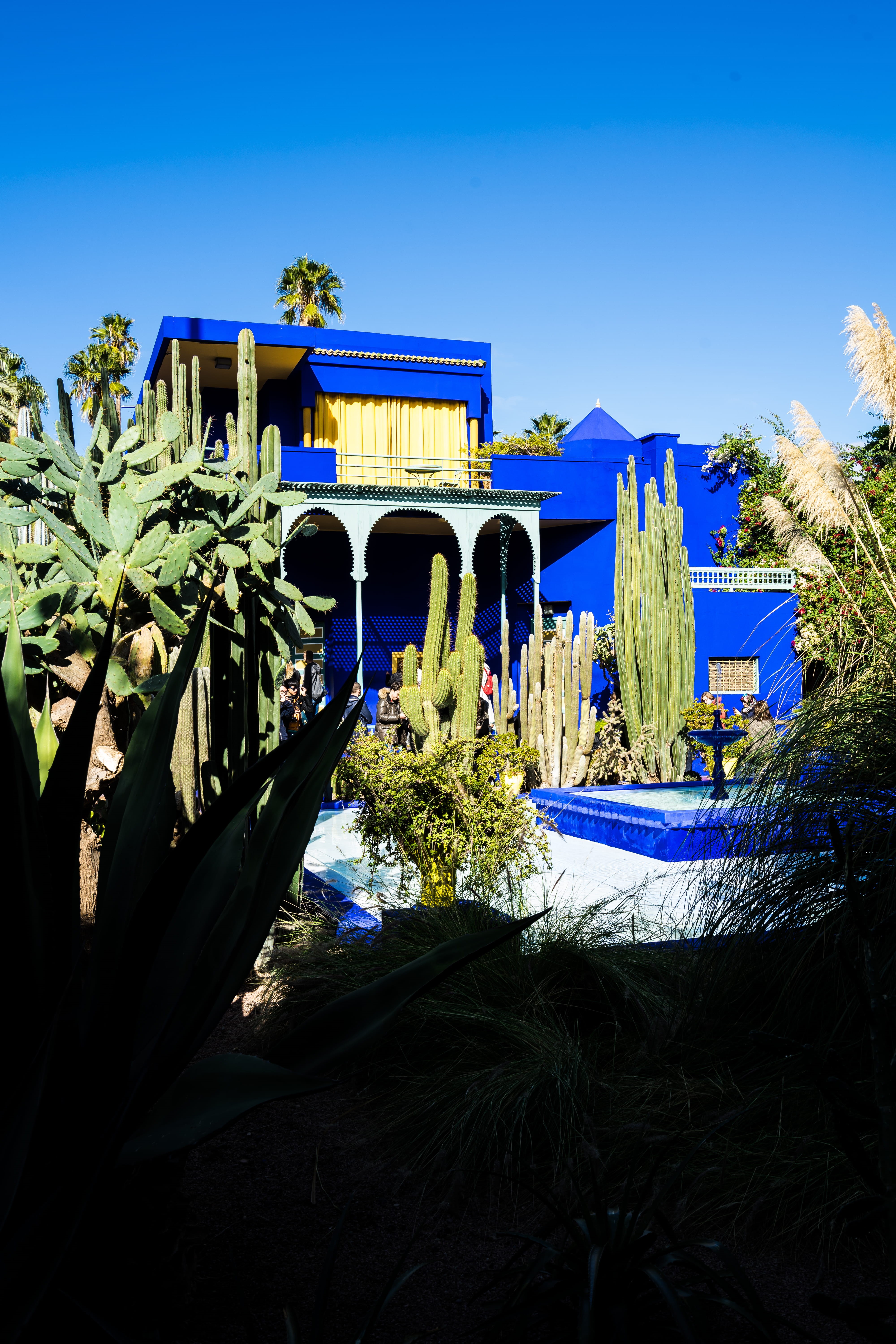 marrakesh, sky, plant, 5K, day, connection, building exterior, architecture, growth, water, bridge, built structure, blue, building, garden, ysl, flowering plant, Phone HD Wallpaper