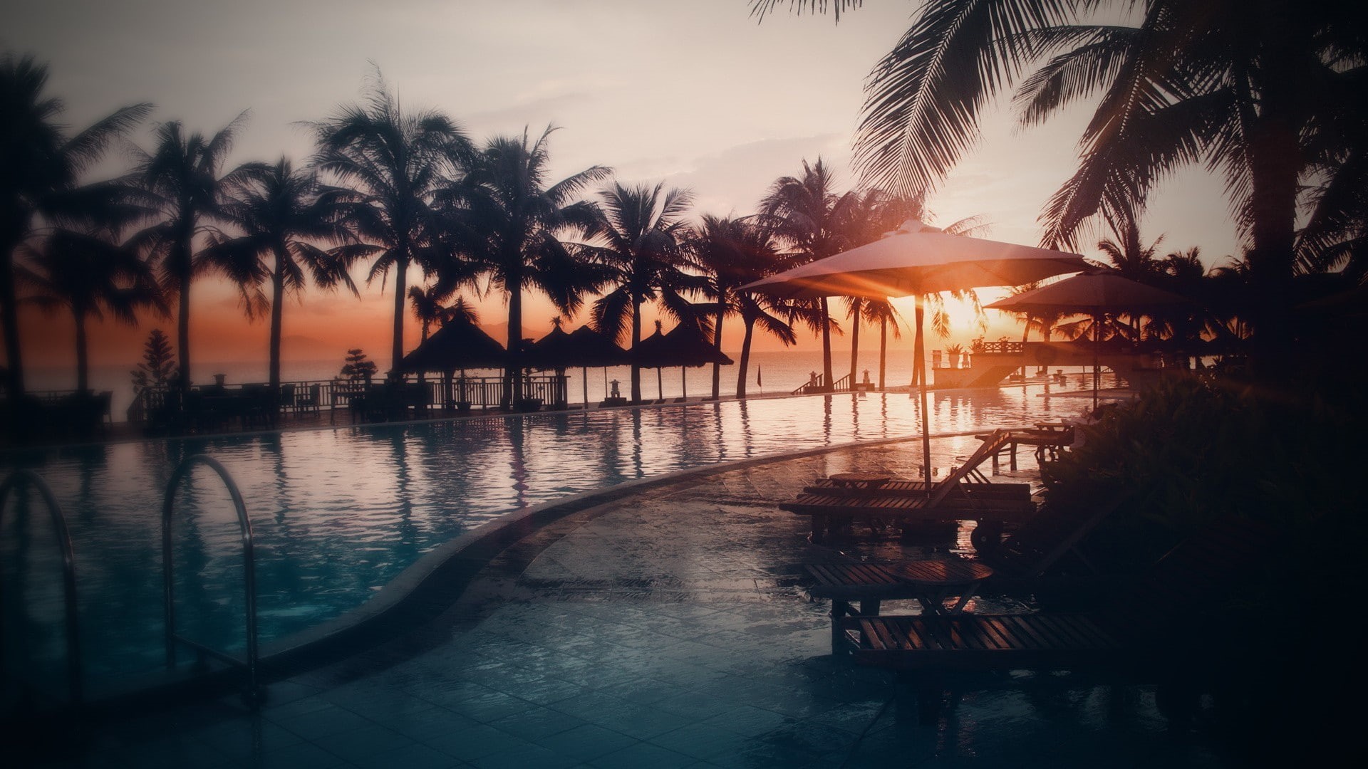swimming pool, 1080P, hotel, palm trees, HD Wallpaper