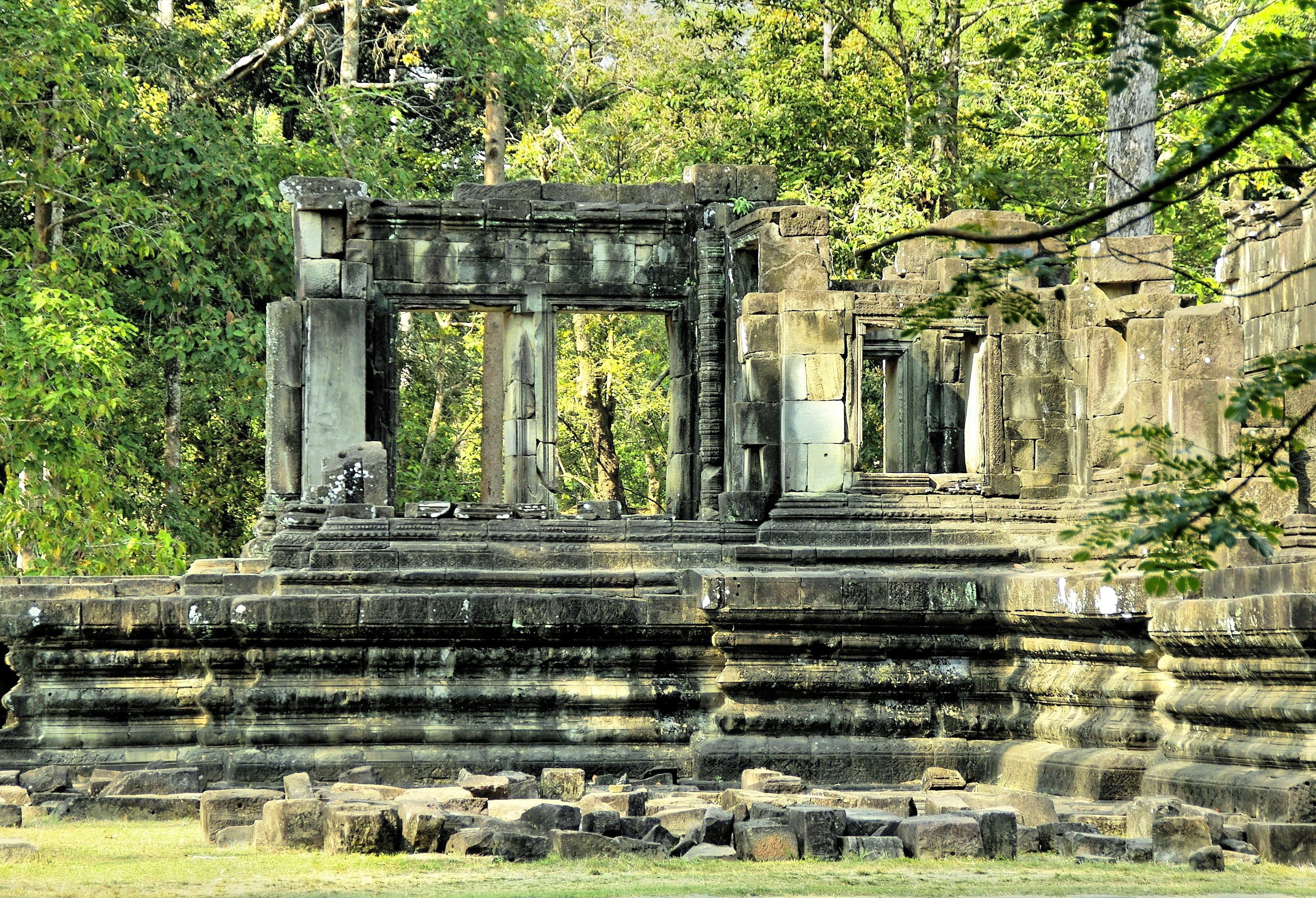 buddhism, staircase, tree, day, plant, ruins, famous Place, outdoors, cultures, building, no people, khmer, angkor Wat, temple - Building, ancient, old Ruin, HD Wallpaper