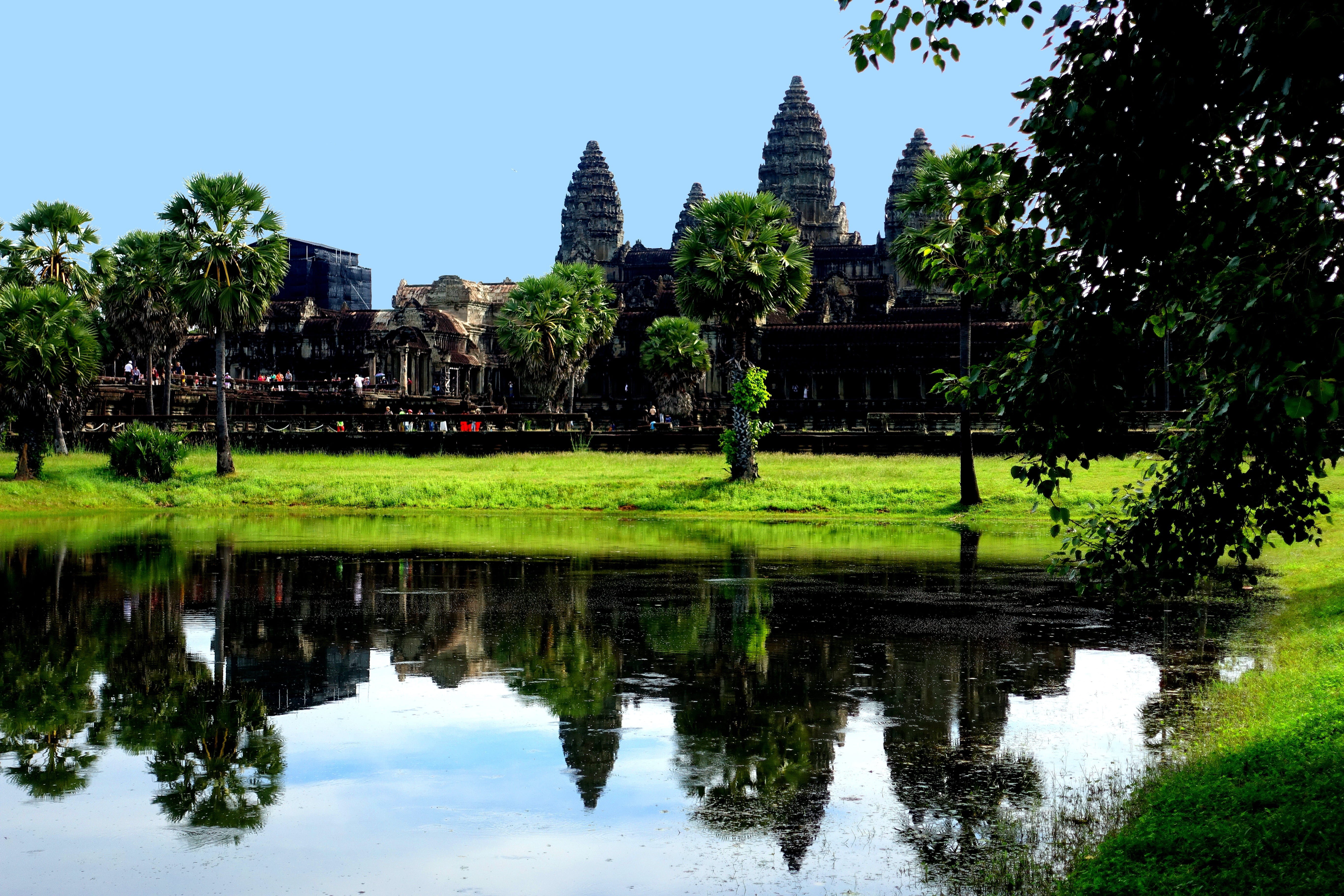 built structure, reflection, asia, angkor wat, travel destinations, waterfront, tree, water, religion, belief, history, temple complex, 5K, nature, spirituality, HD Wallpaper