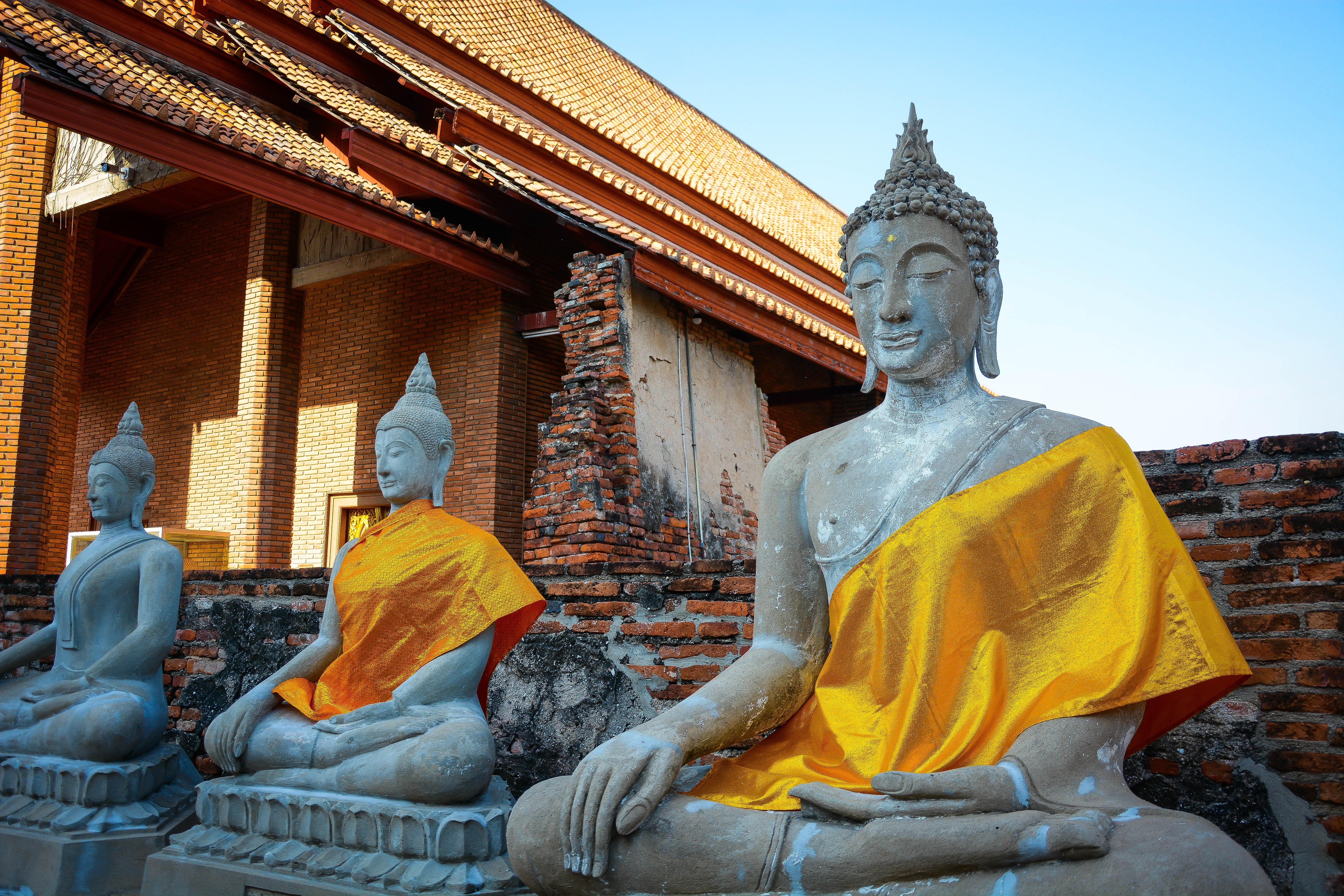 japan, temple - Building, sculpture, thai Culture, no people, ruins, ancient, Buddha, outdoors, building, travel, travel destinations, history, religious, HD Wallpaper