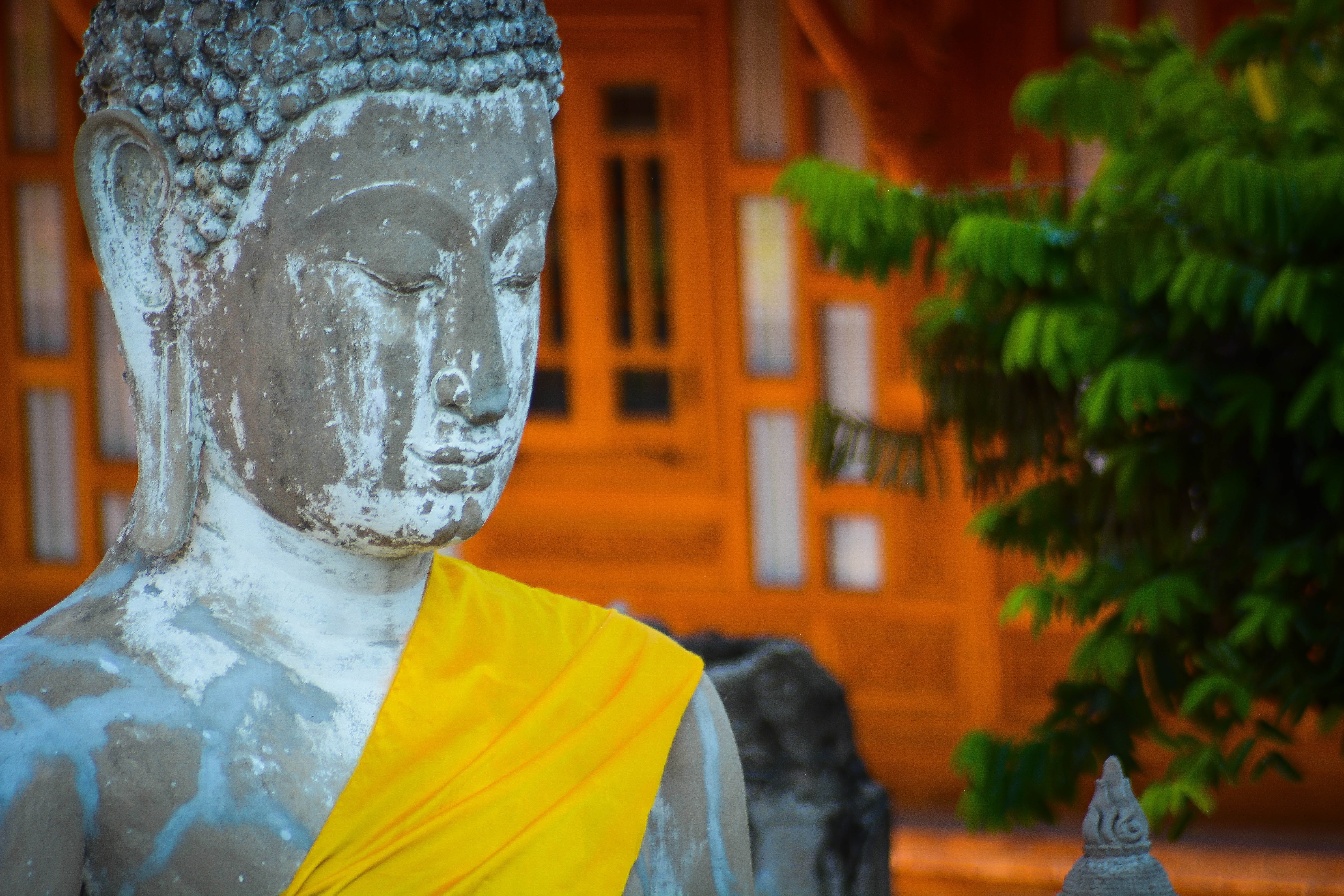 male likeness, architecture, day, headshot, buddhism, brick, travel, religion, buddhist, spirituality, sukhothai, art and craft, sitting, asia, statue, HD Wallpaper