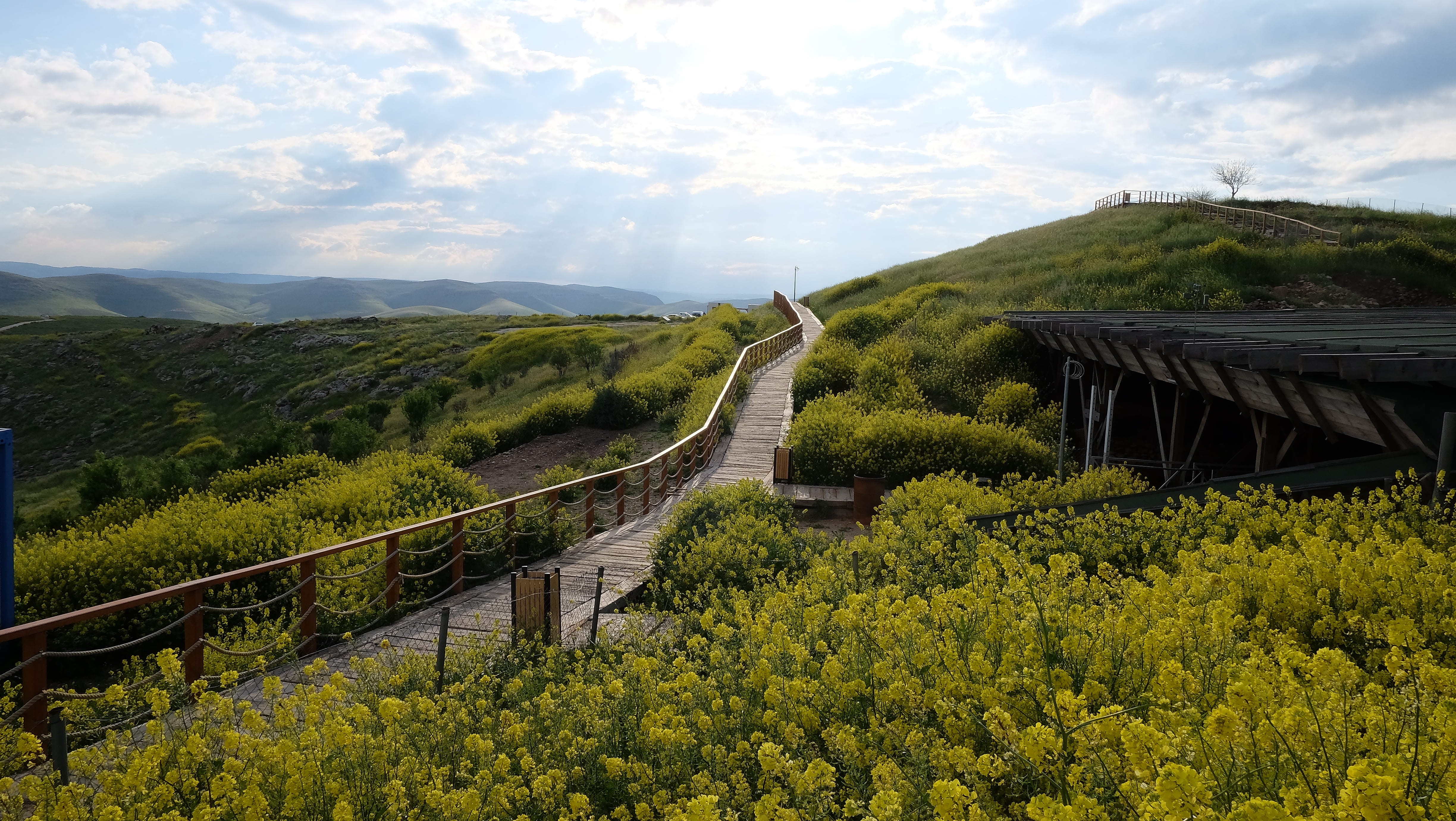 bridge - man made structure, built structure, growth, road, architecture, plant, scenic, green, archeology, outdoors, non-urban scene, scene, nature, bridge, HD Wallpaper