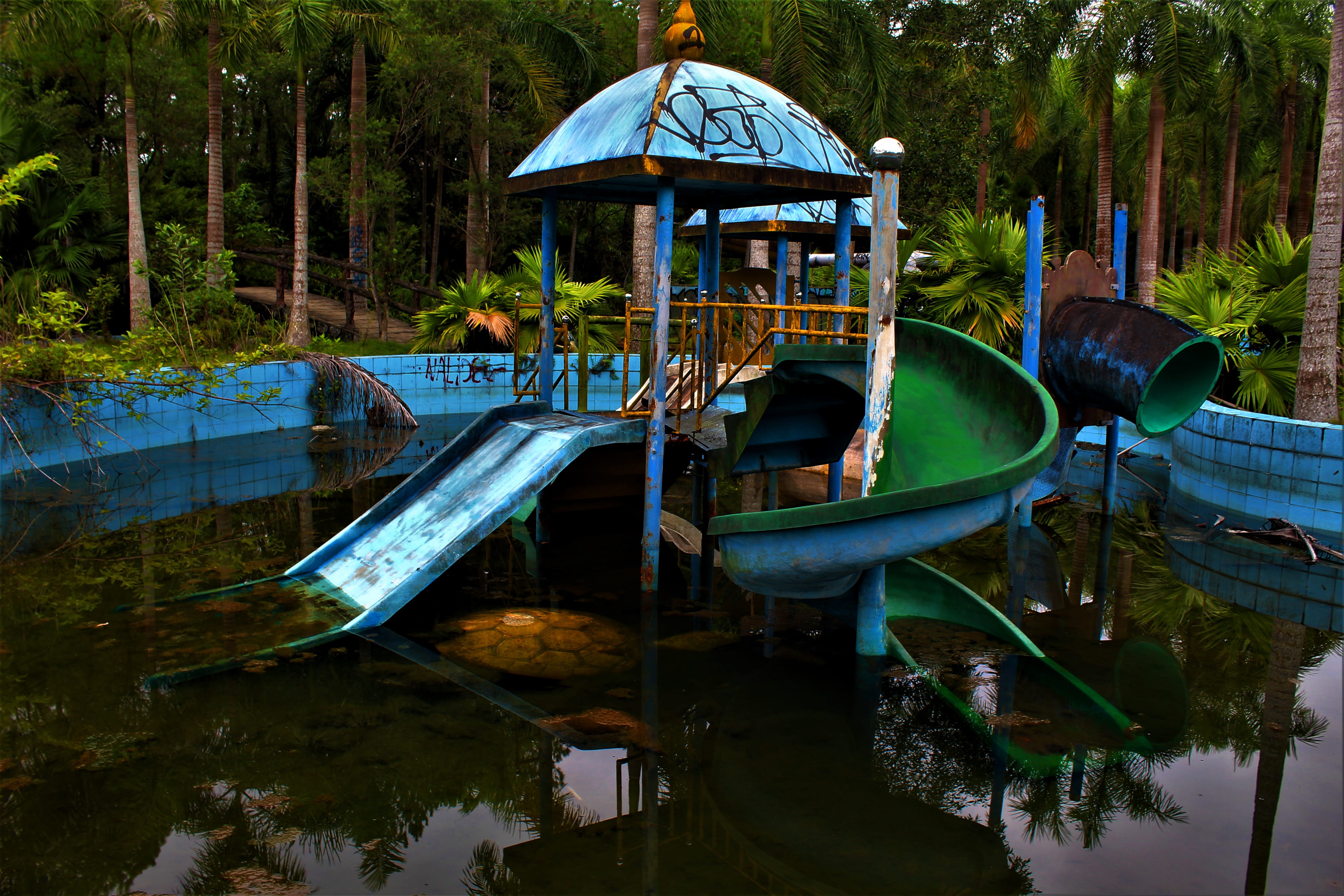 reflection, waterfront, water, tree, transportation, lake, outdoors, mode of transportation, moored, abandoned, waterpark, playground, day, tranquility, HD Wallpaper