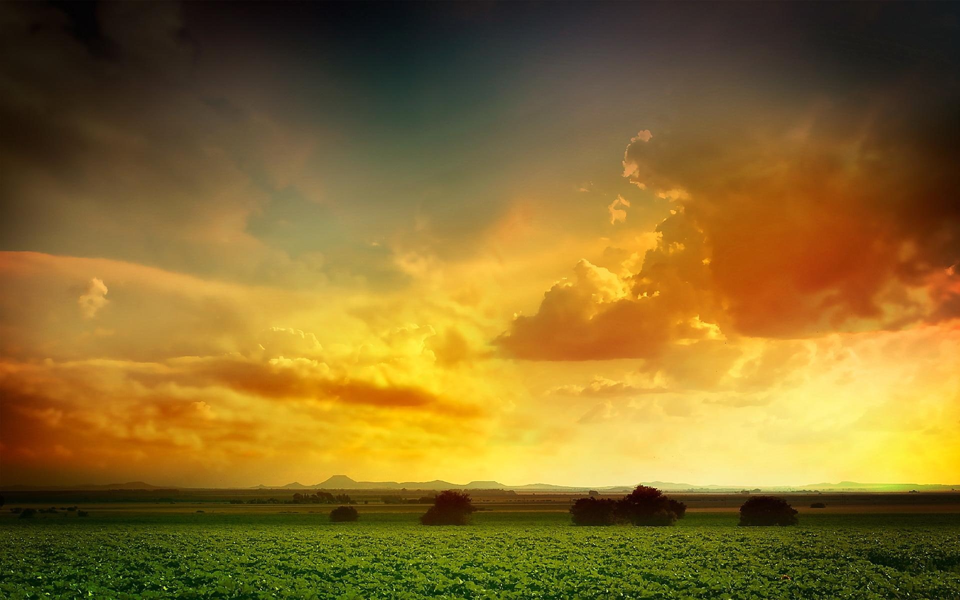 field grass, 1080P, yellow hues, 3d and abstract, clouds, painting, green, sun, HD Wallpaper