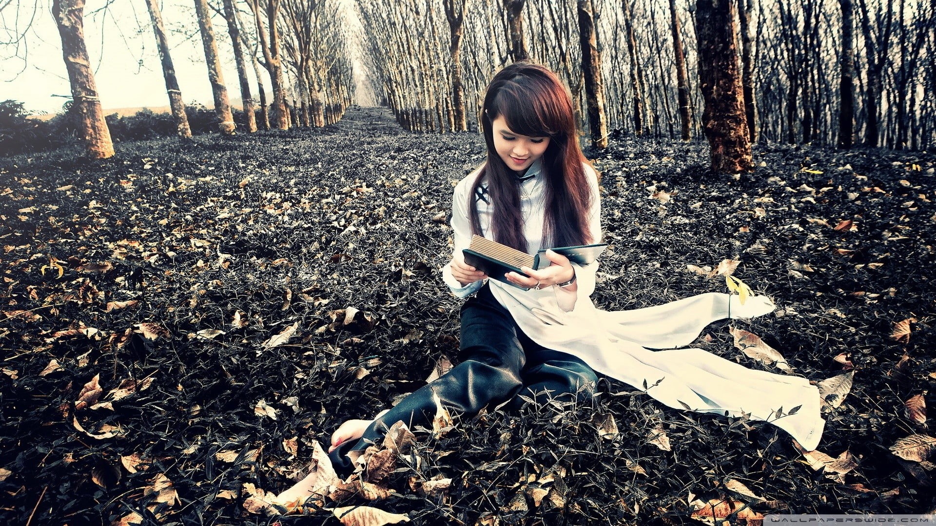 1080P, brunette, casual clothing, nature, land, Asian, sitting, front view, tree trunk, day, teenager, áo dài, trunk, tree, hairstyle, woodland, women, HD Wallpaper