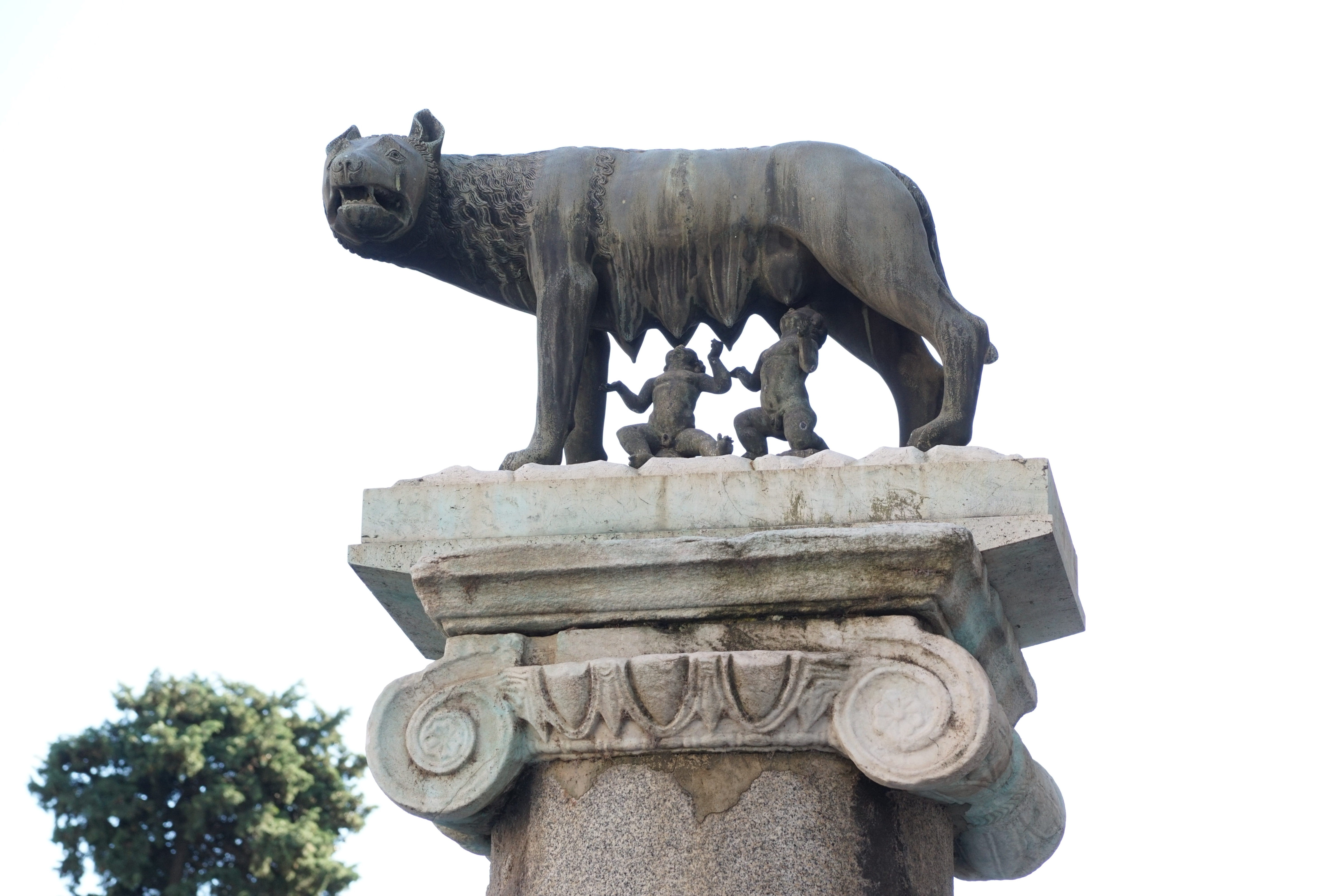 representation, history, capitoline wolf, Capitoline Hill, male likeness, low angle view, nature, craft, tourism, capitoline, romulus and rafi, roman, Rafi, HD Wallpaper