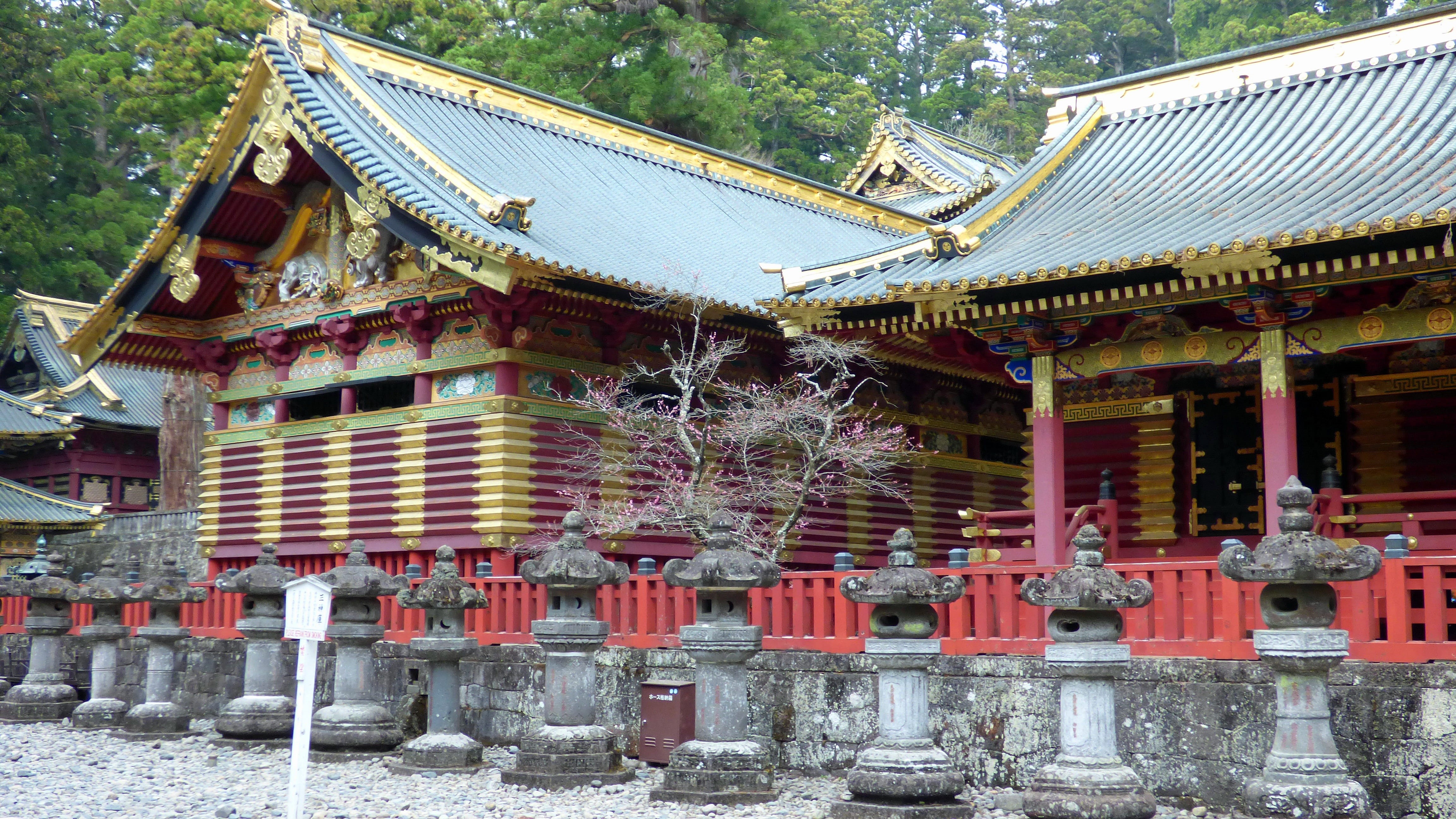 architectural column, roof, tree, place of worship, zen, belief, red, spirituality, the Past, building, old, cultures, architecture And Buildings, temple - Building, HD Wallpaper