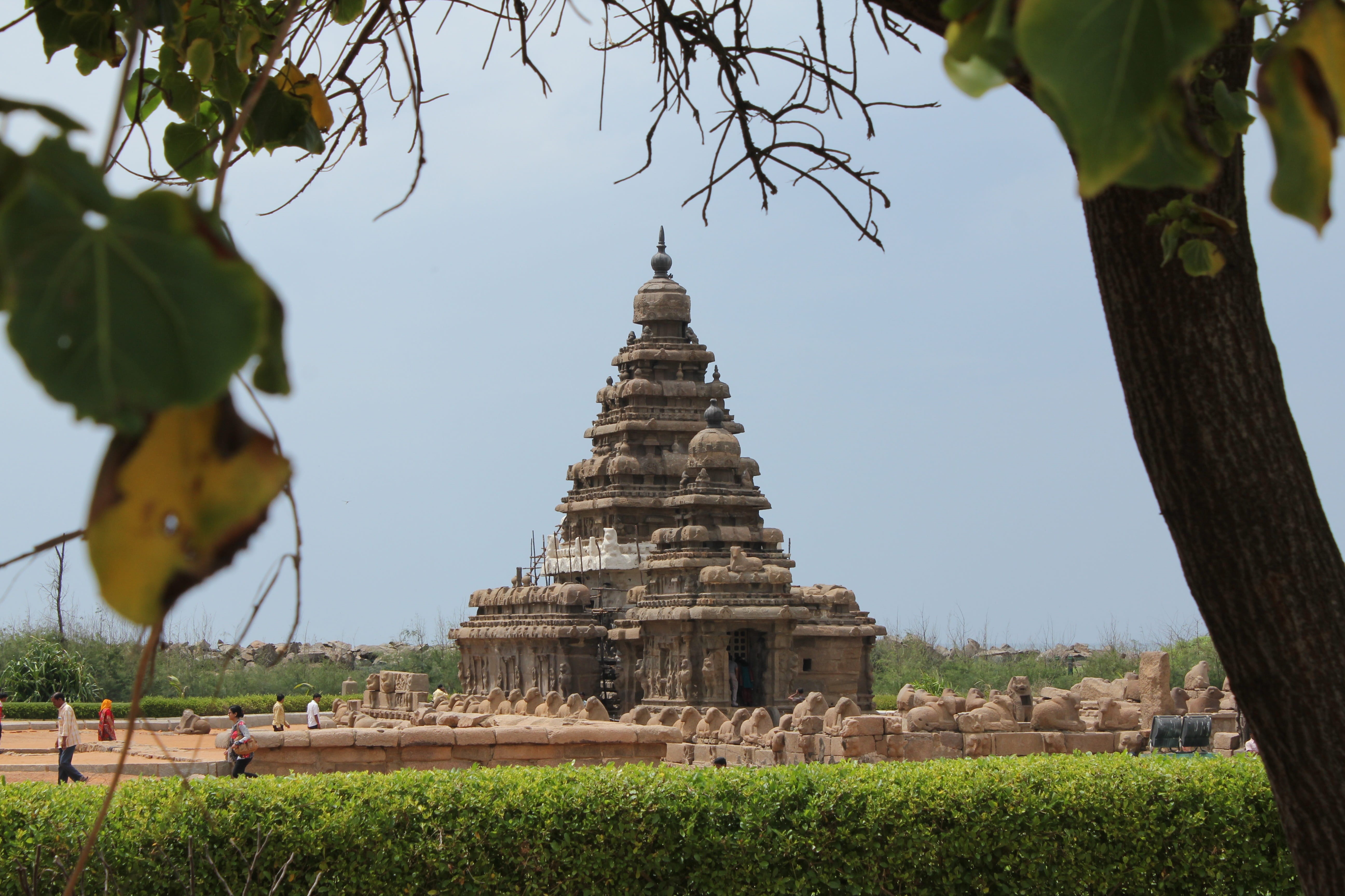 sky, 5K, mahabalipuram, day, belief, built structure, chennai, tree, no people, low angle view, plant, ancient, tamilnadu, nature, history, the past, spirituality, HD Wallpaper