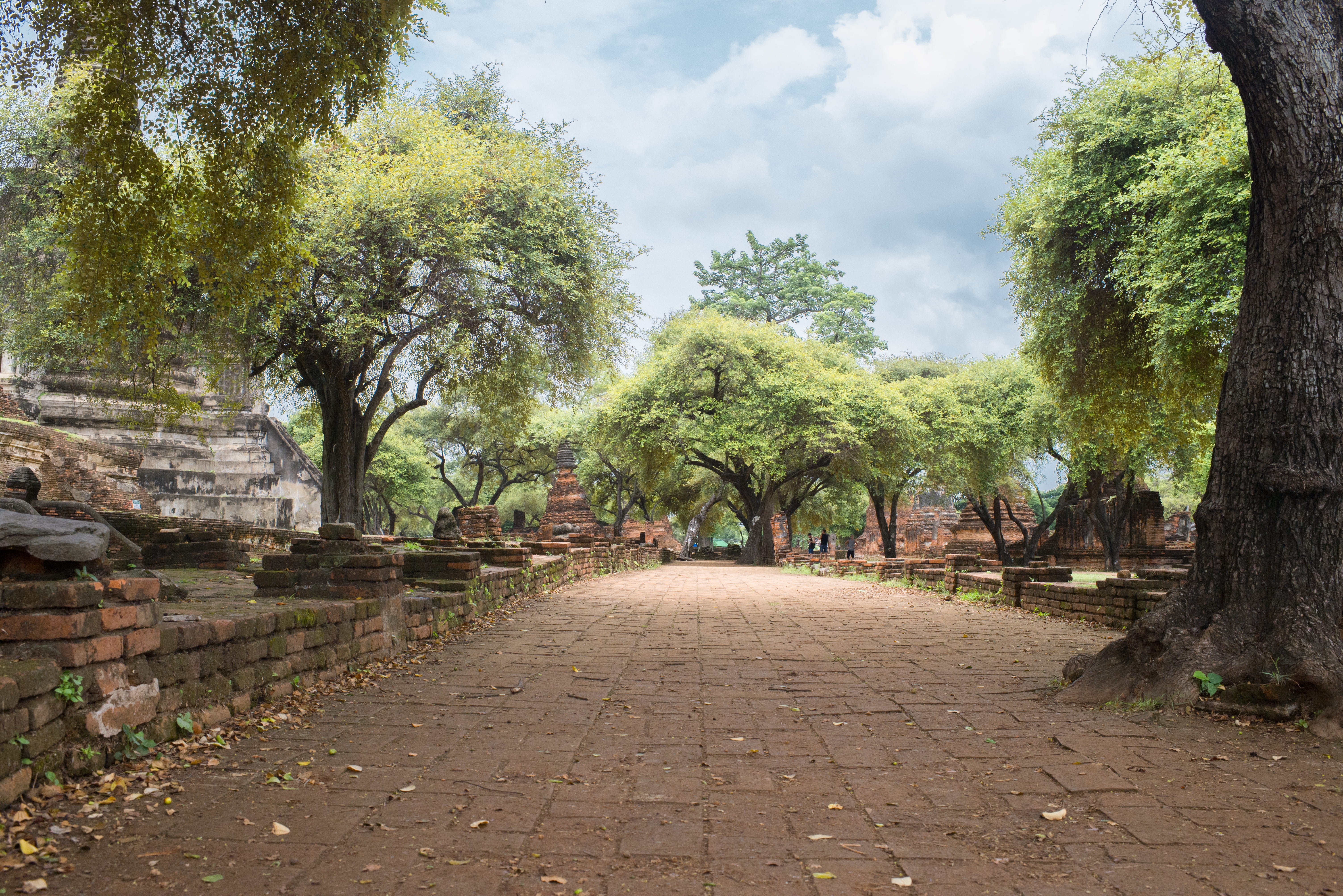 siam, building exterior, landscape, park, site, tree, cloud - sky, forest, city, ayutthaya historical park, footpath, thailand, green color, plant, trees, HD Wallpaper