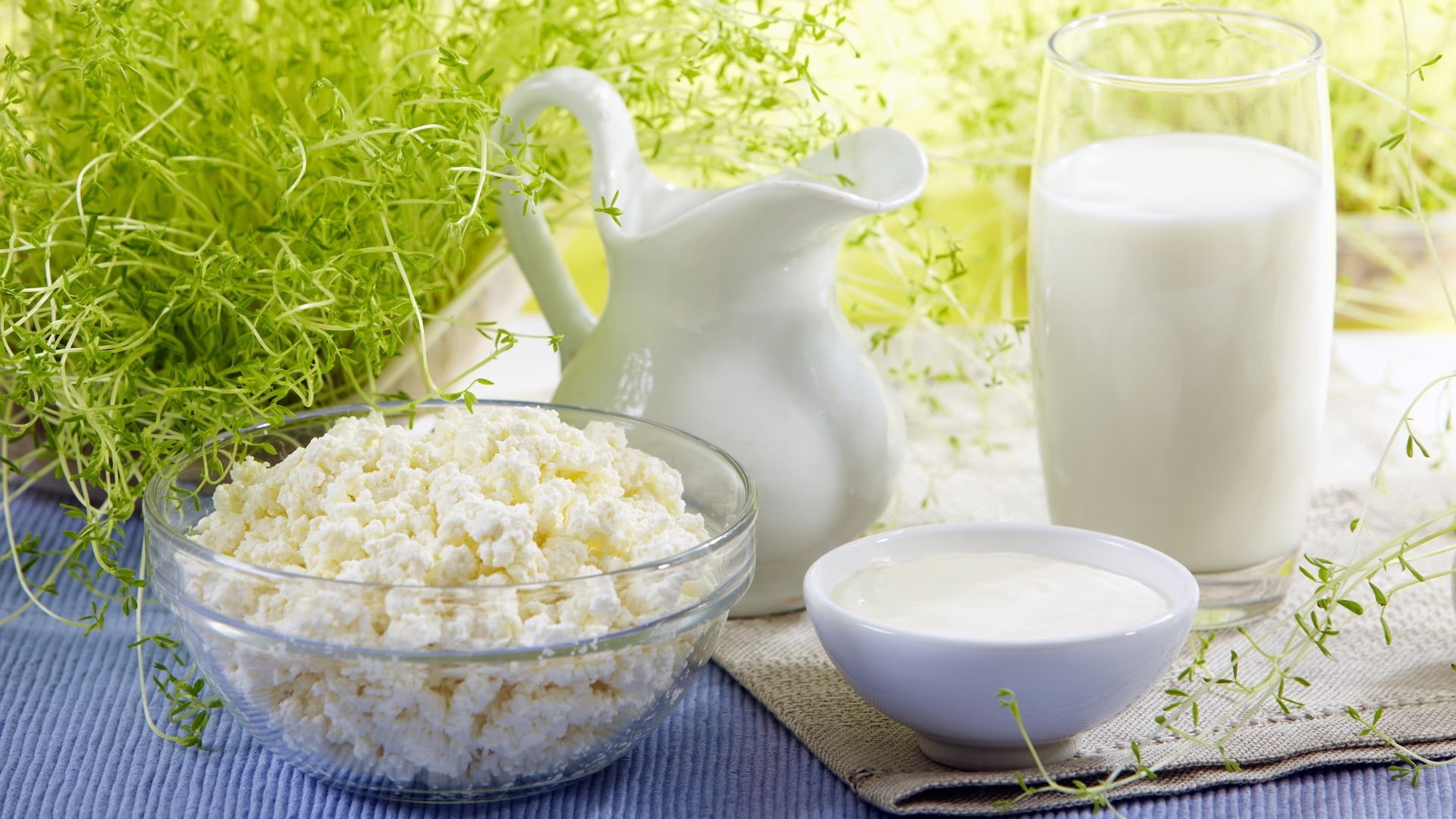 wood - Material, meal, milk Bottle, vegetarian Food, no people, oatmeal, food And Drink, crockery, food, refreshment, nature, cream, 1080P, bowl, merchandise, HD Wallpaper