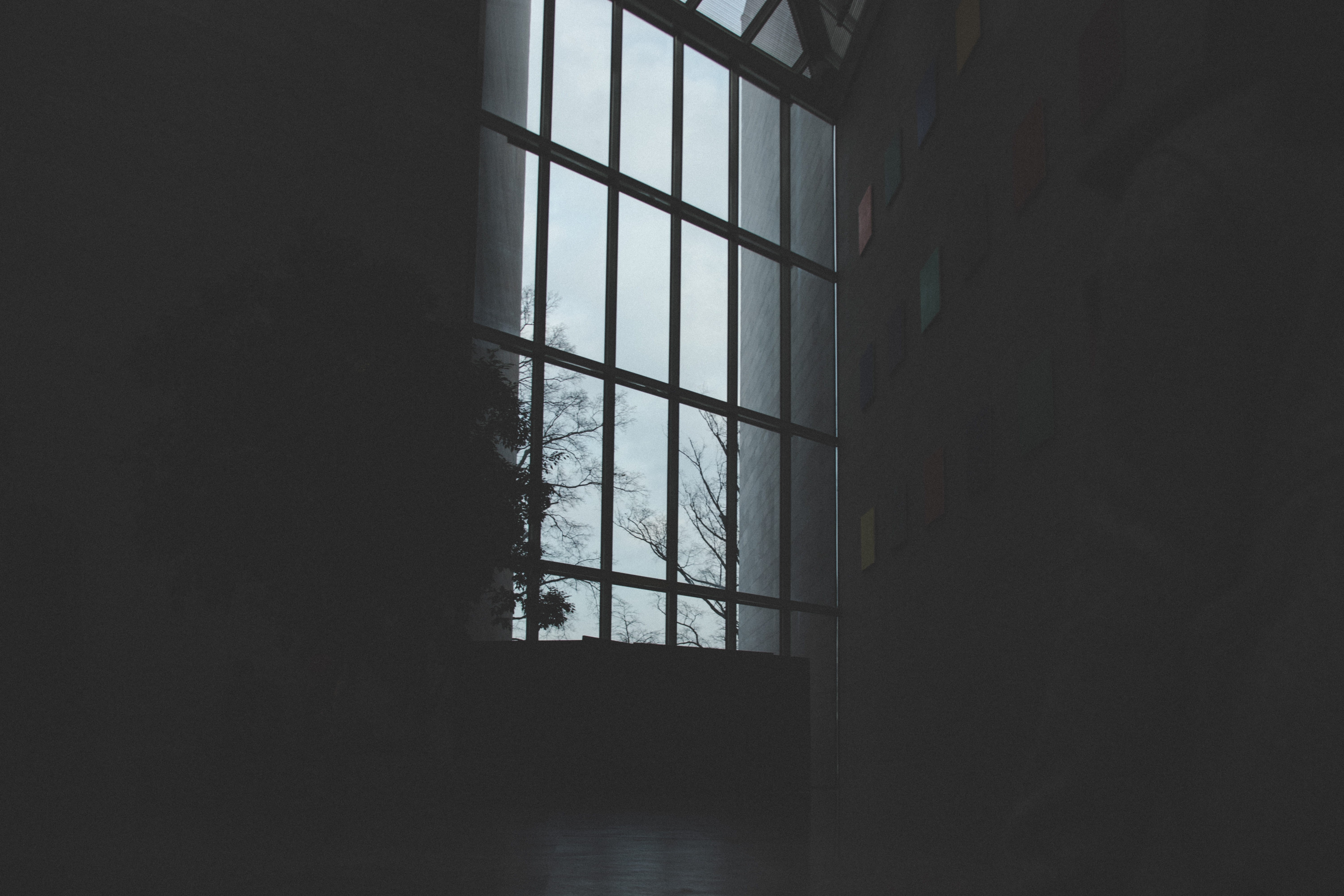outline, domestic room, grunge, tree, indoors, inside, framed, security, wooden, looking out, window, windowsill, frame, housing, bars, urban, pattern, HD Wallpaper
