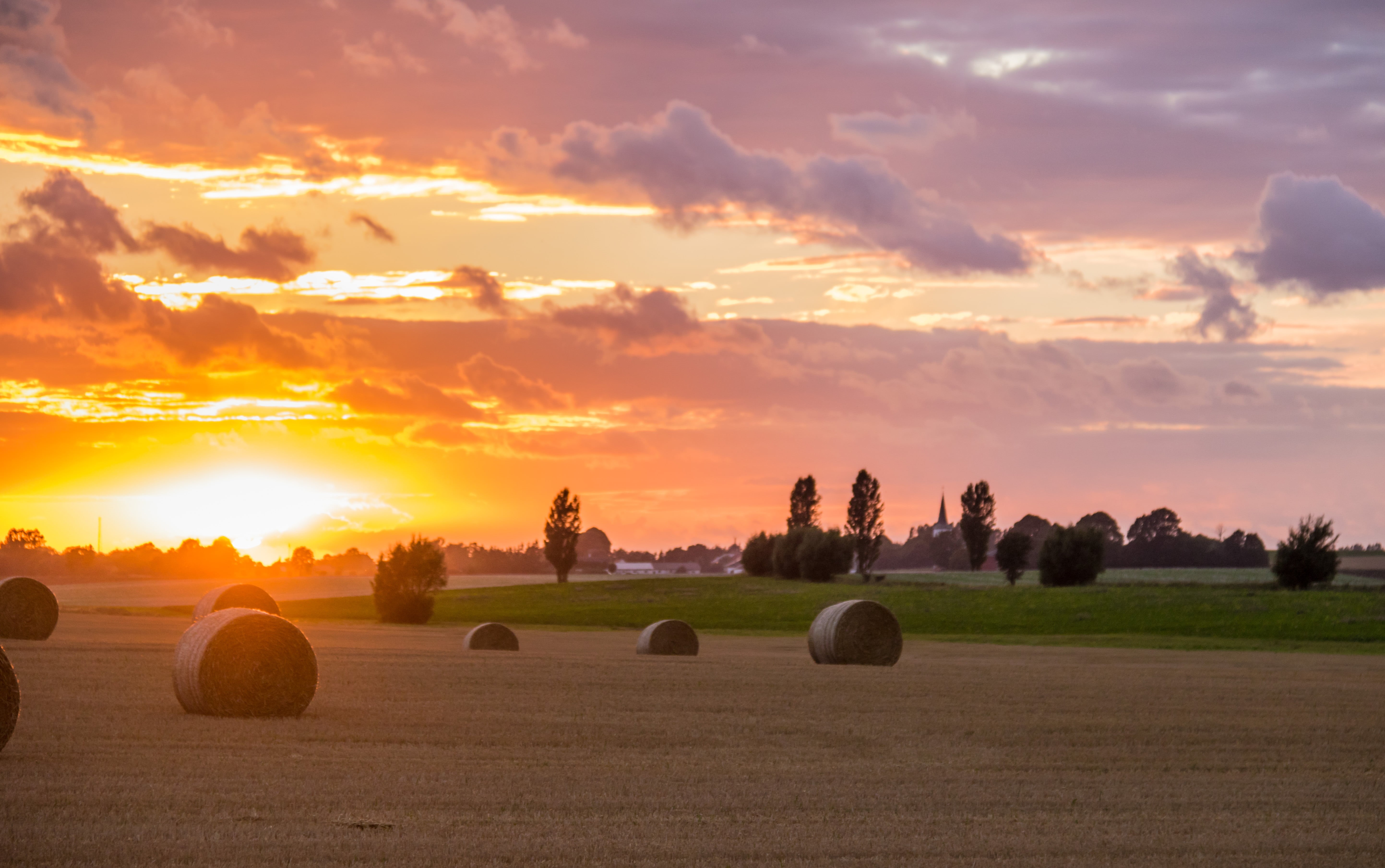 crop, aperture, focal_length, harvesting, scenics, city, bale, 760d, country, cloud, 90 mm, landskap, Countryside, roll, s18, Söderslätt, agriculture, field, HD Wallpaper