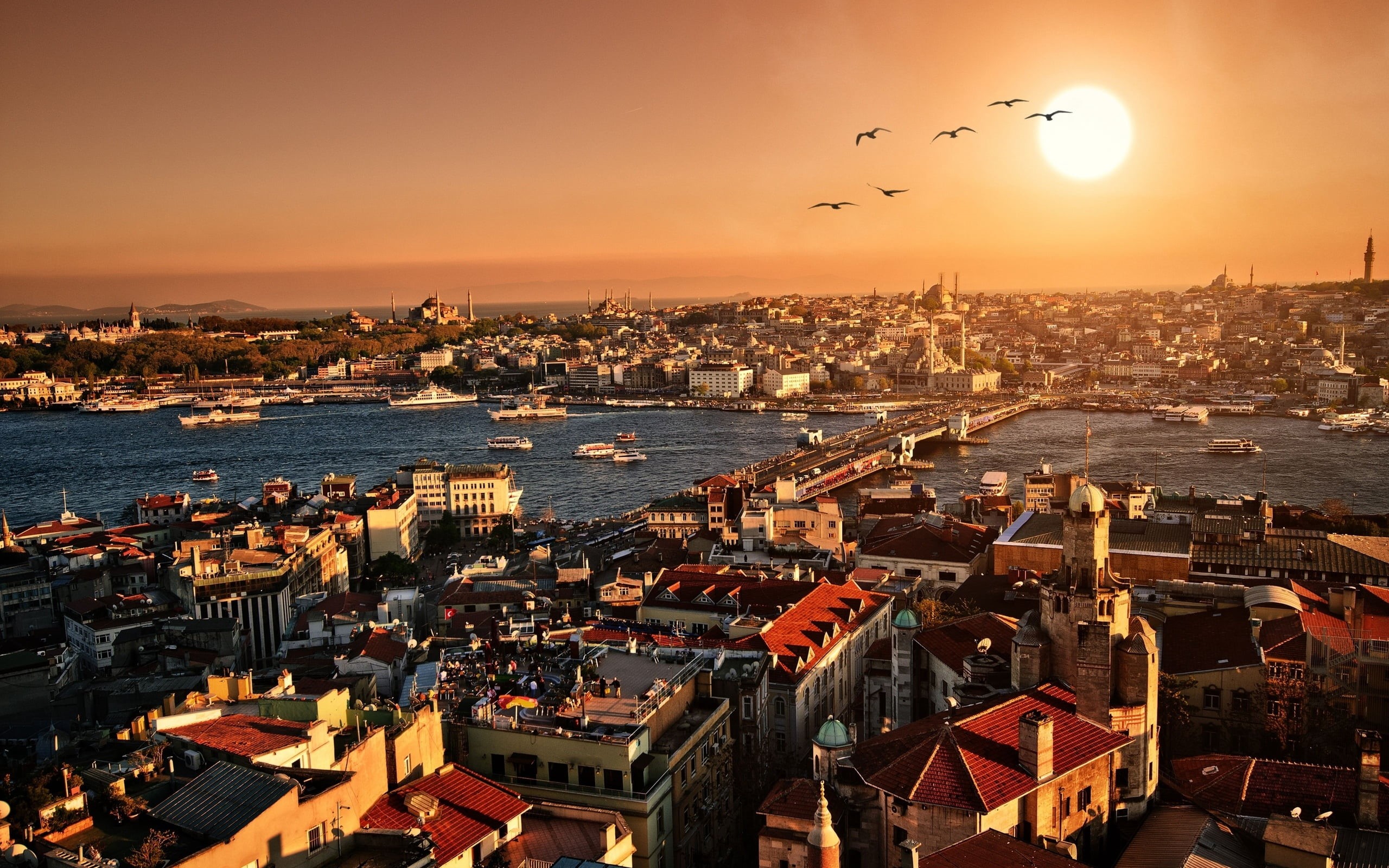 cultures, panoramic, bird, roof, travel, vertebrate, sunset, turkey - Middle East, harbor, urban Scene, water, panorama, evening, travel Destinations, urban Skyline, HD Wallpaper