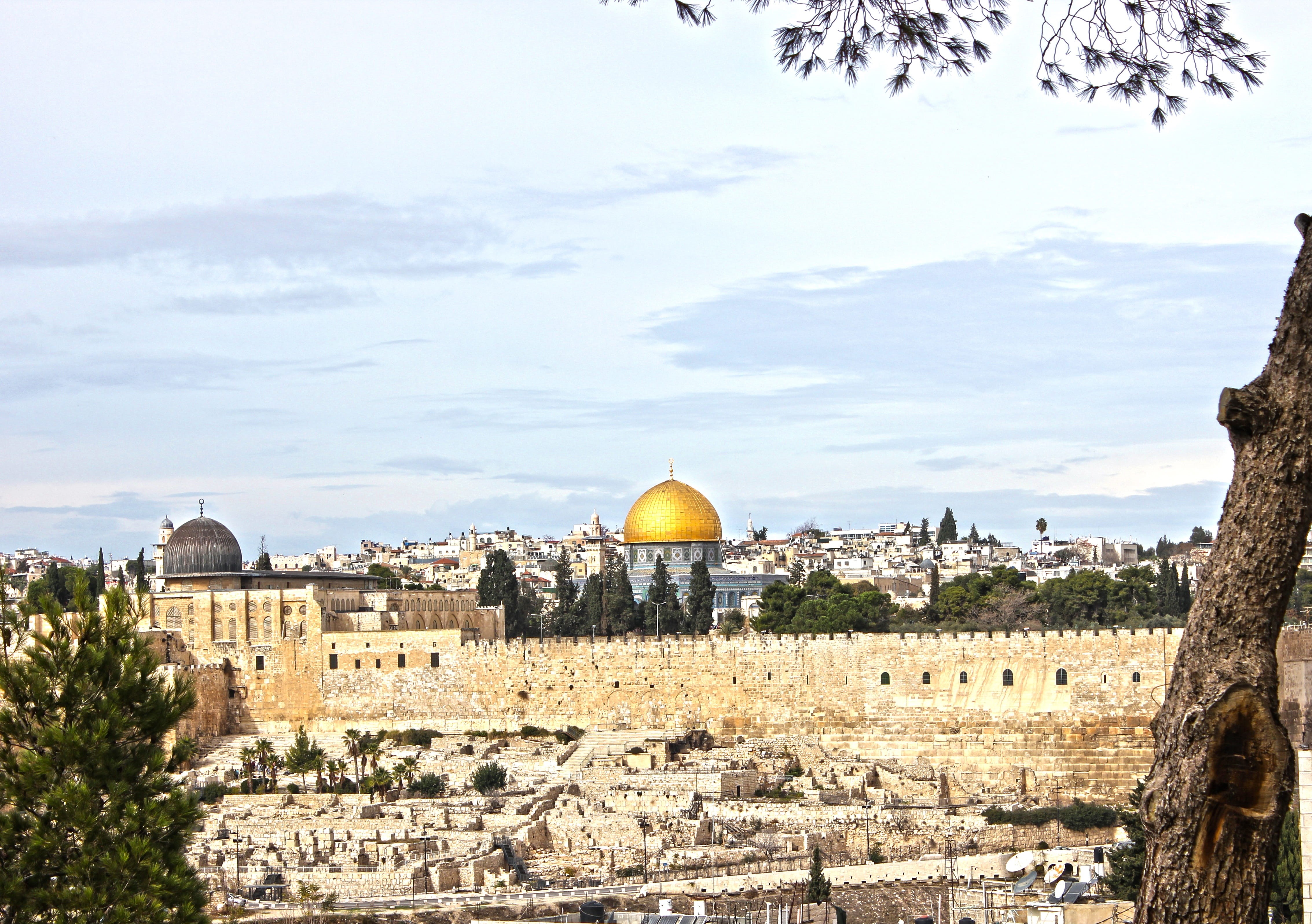 architecture, no people, travel destinations, religion, israel, townscape, 4K, day, belief, building exterior, history, jerusalem, outdoors, tree, building, HD Wallpaper