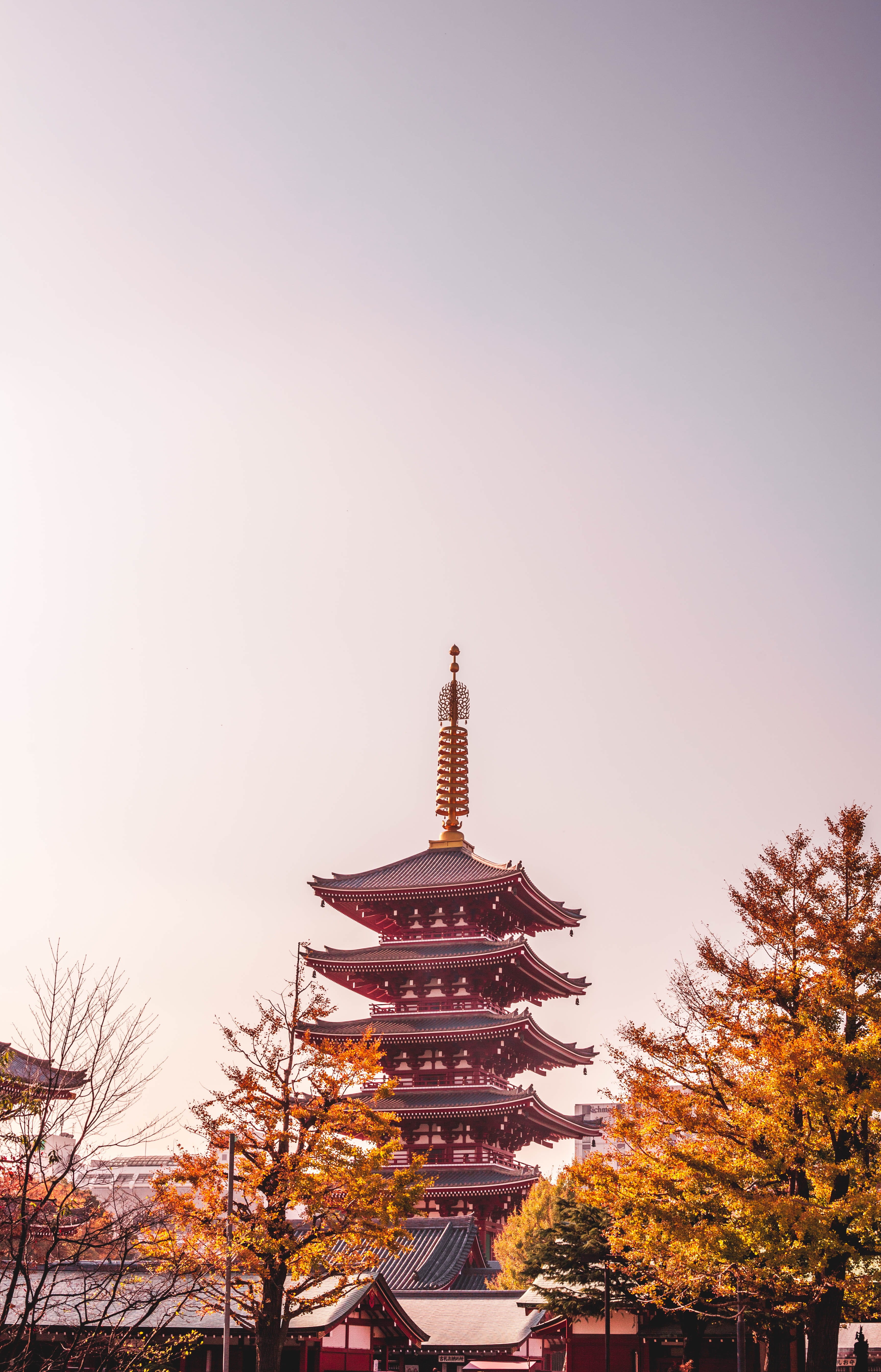religion, worship, city, no people, japan, travel, sky, shrine, low angle view, red, human, building exterior, spire, sunset, travel destinations, plant, Phone HD Wallpaper