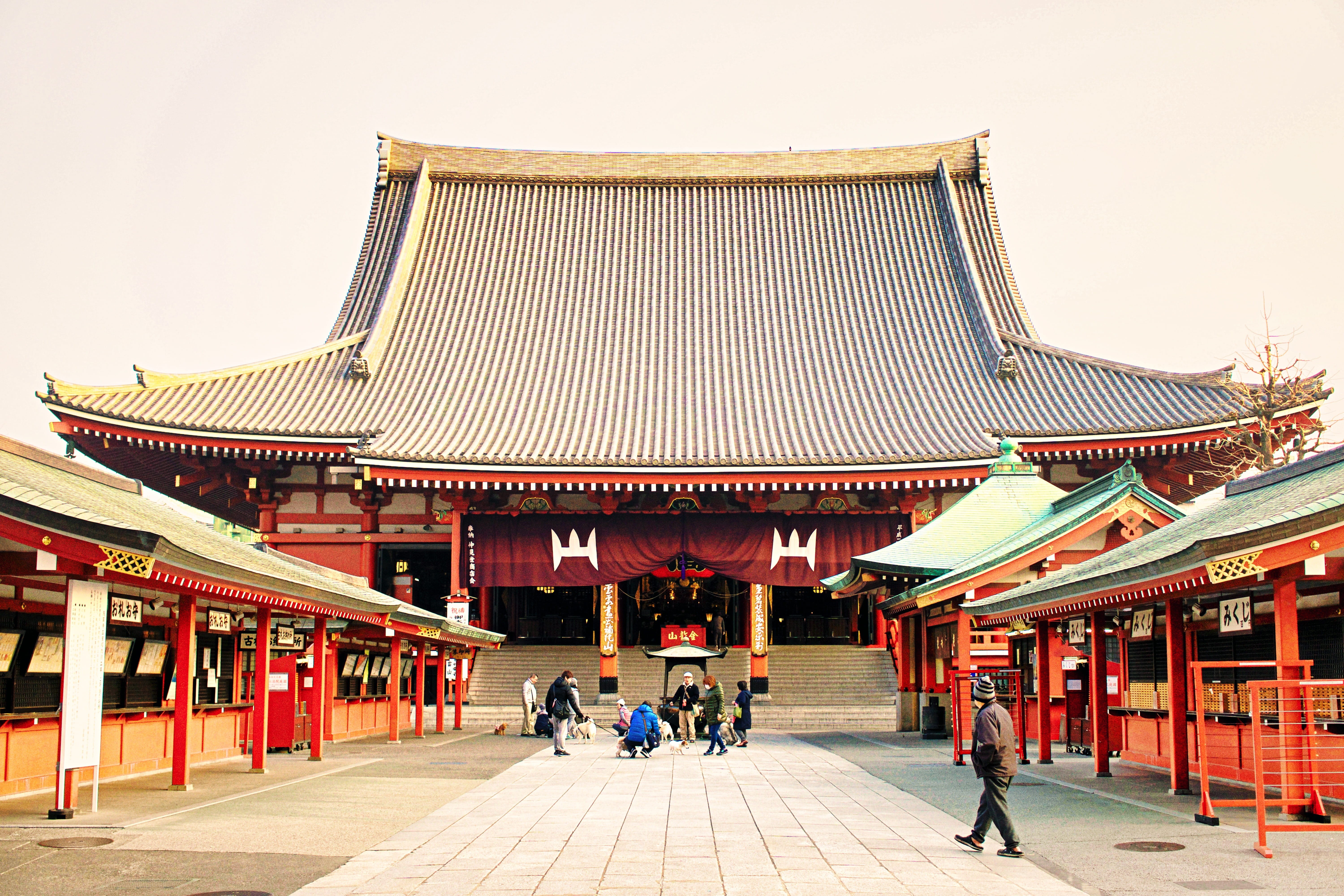 japanese style, Morning, 5K, Senso-Ji, tourism, day, building, shrine, travel destinations, built structure, sky, group of people, courtyard, spirituality, HD Wallpaper