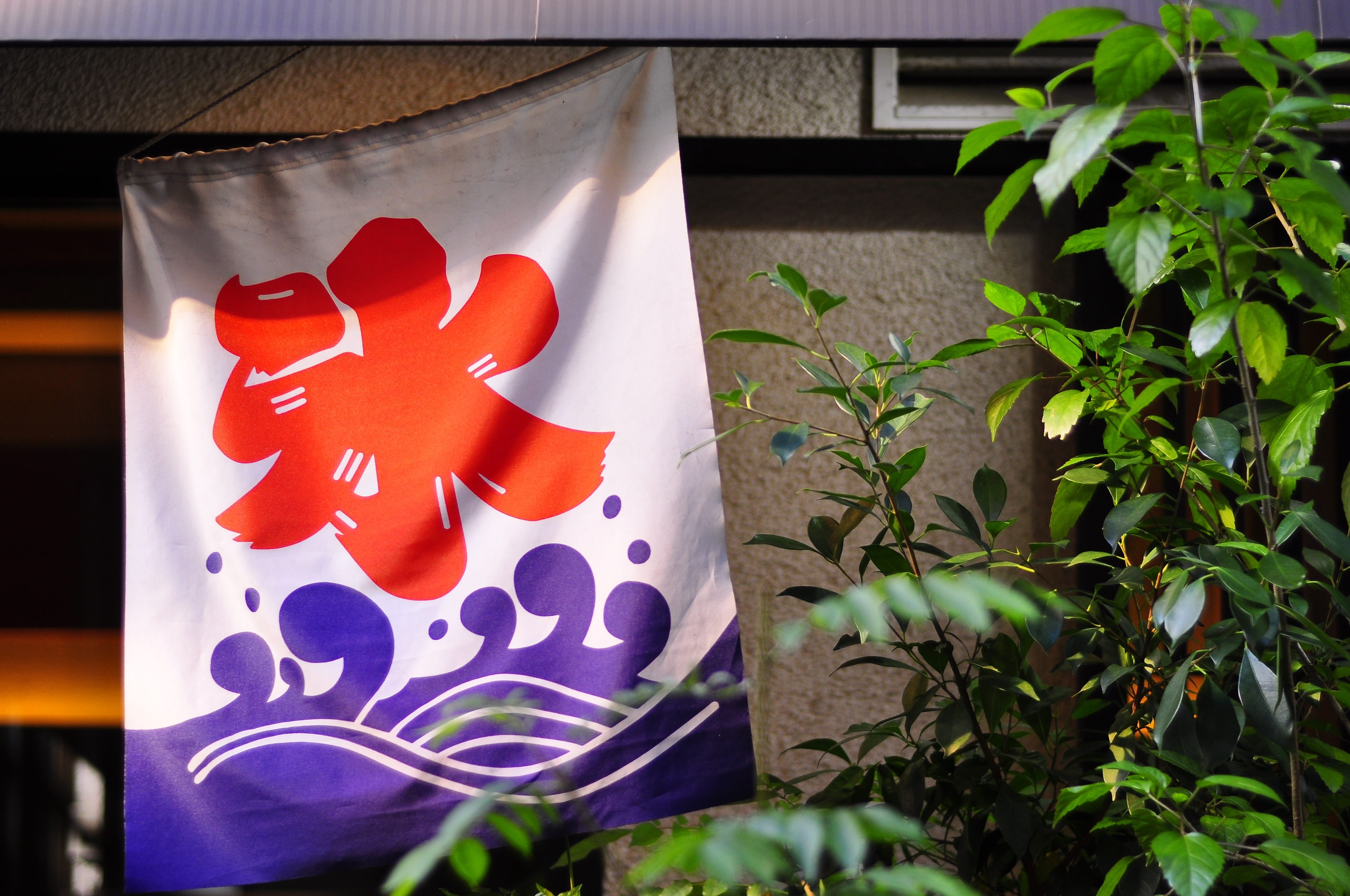 outdoors, 4K, pattern, close-up, hanging, asakusa, red, shape, ice, flag, plant part, communication, tokyo, patriotism, plant, no people, focus on foreground, HD Wallpaper