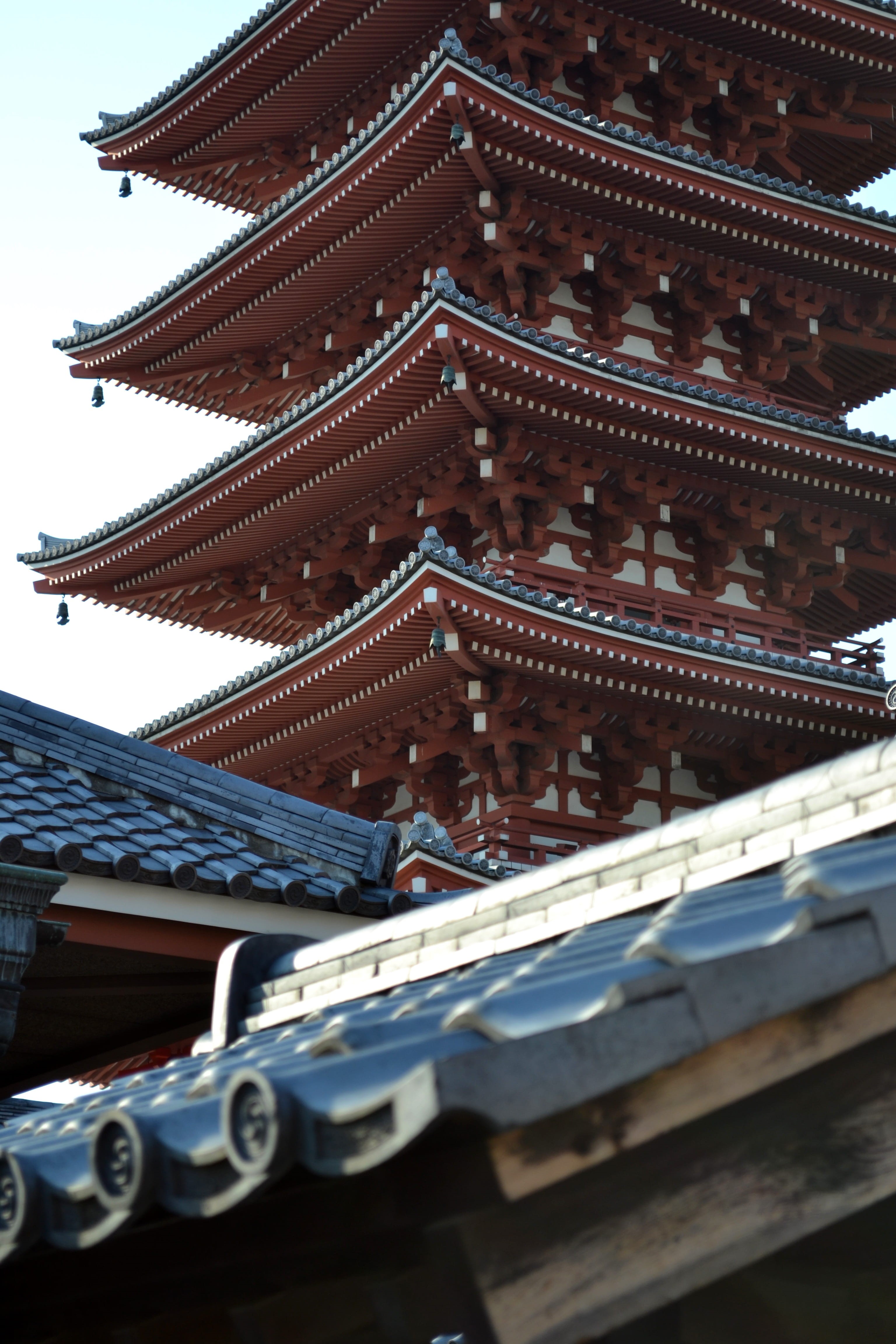 day, travel, nature, no people, pattern, eaves, asia, 4K, low angle view, belief, tokyo, roof, asakusa, spirituality, outdoors, architectural feature, Phone HD Wallpaper