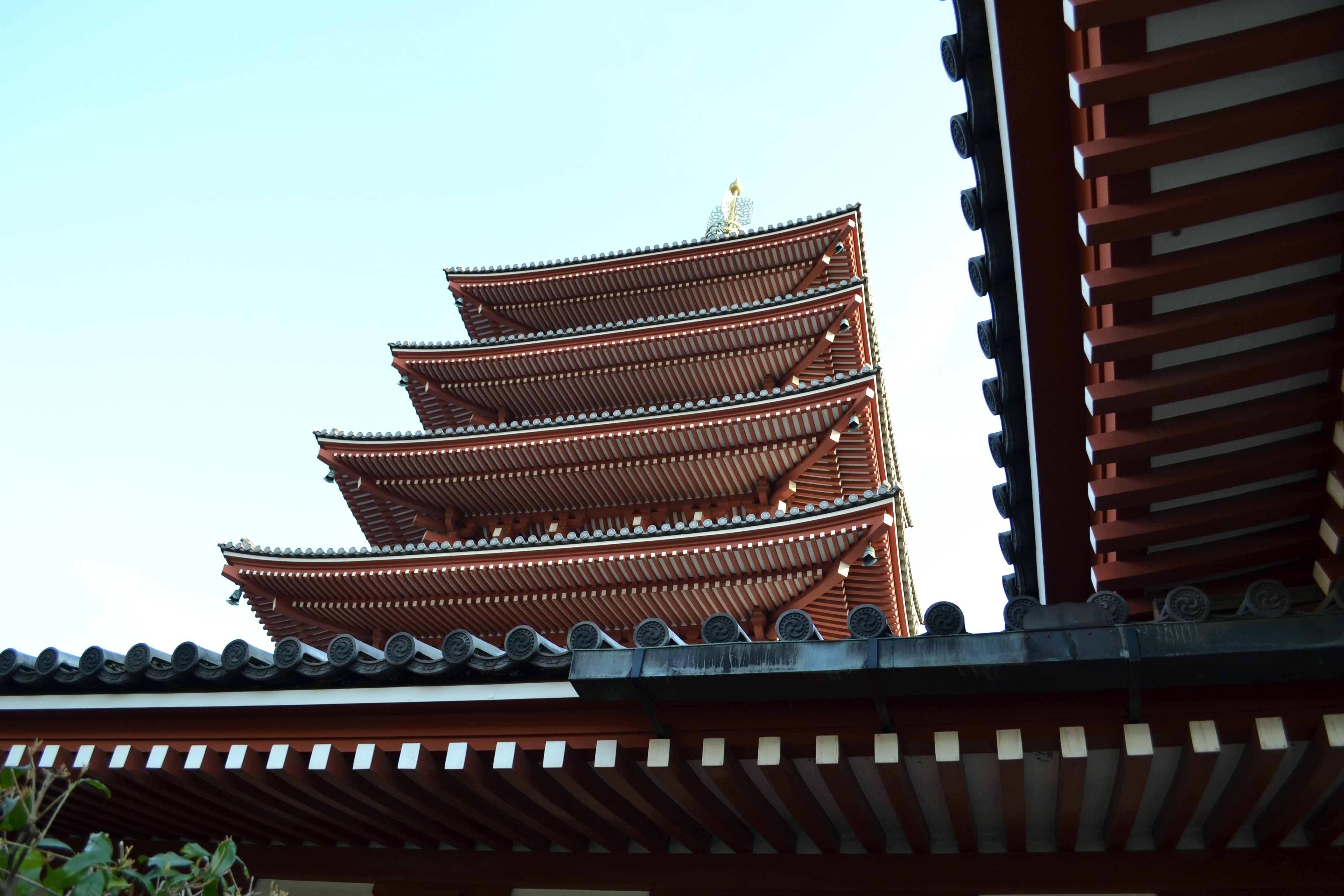 spirituality, religion, oriental, building, tourism, built structure, tokyo, roof, 4K, asian, temple, day, no people, culture, clear sky, place of worship, HD Wallpaper