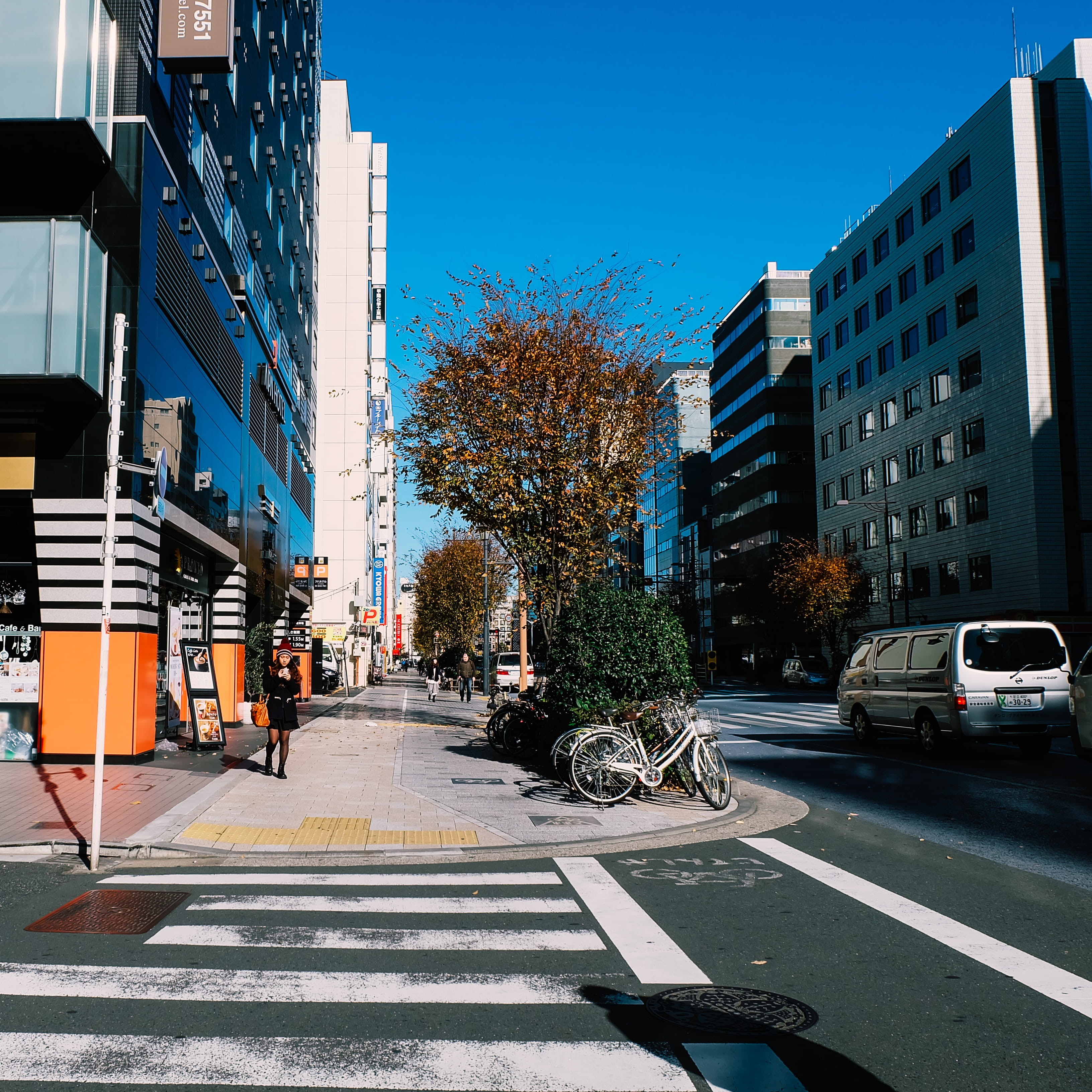 day, street, motor vehicle, nature, asakusa, land vehicle, plant, city street, metro, transportation, travel, intersection, fall, trees, sign, road marking, Phone HD Wallpaper
