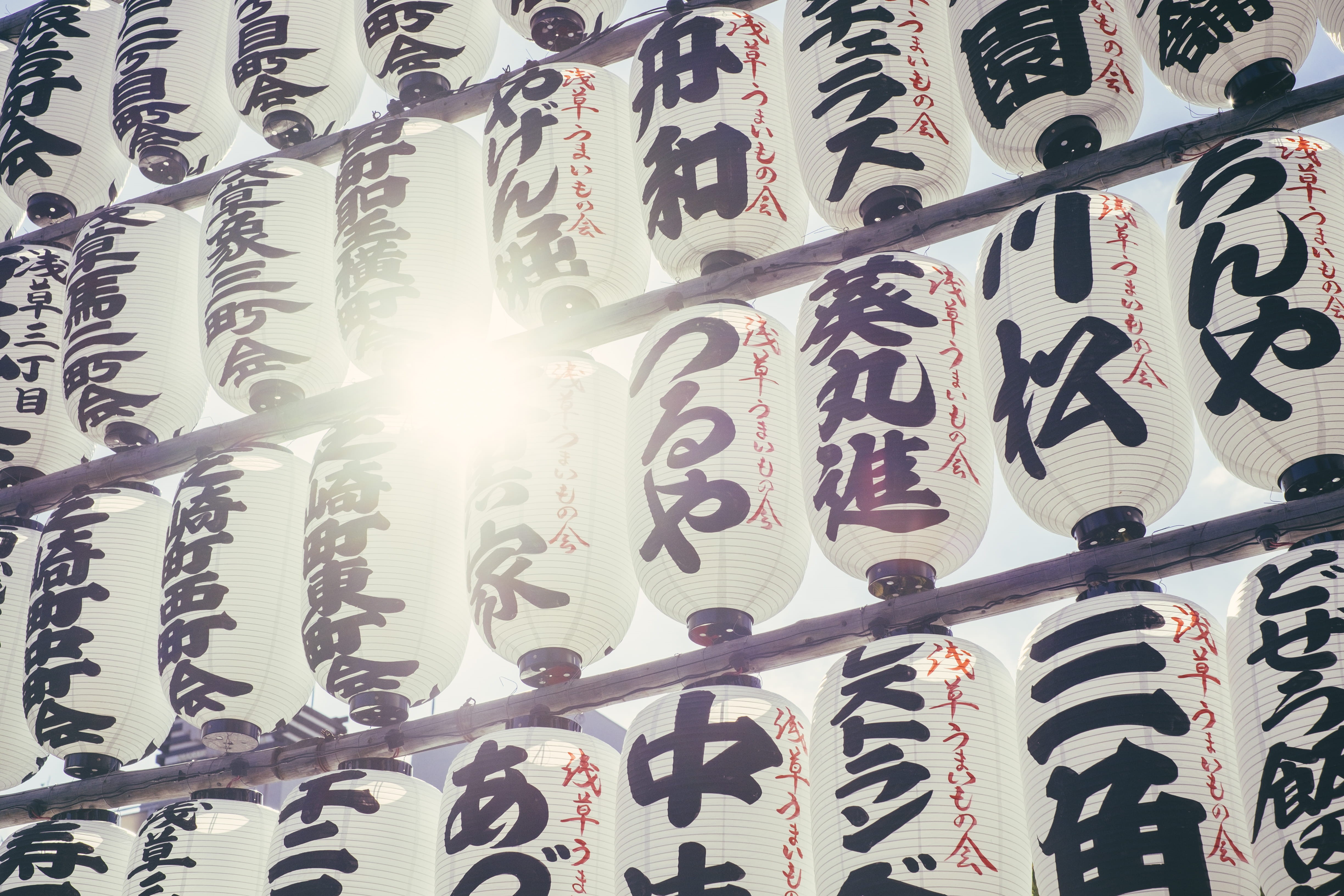 temple, floral pattern, nature, day, sunbeam, script, mandarin, outdoors, tokyo, black, asakusa, built structure, senso-ji, printed, festival, celebrate, HD Wallpaper