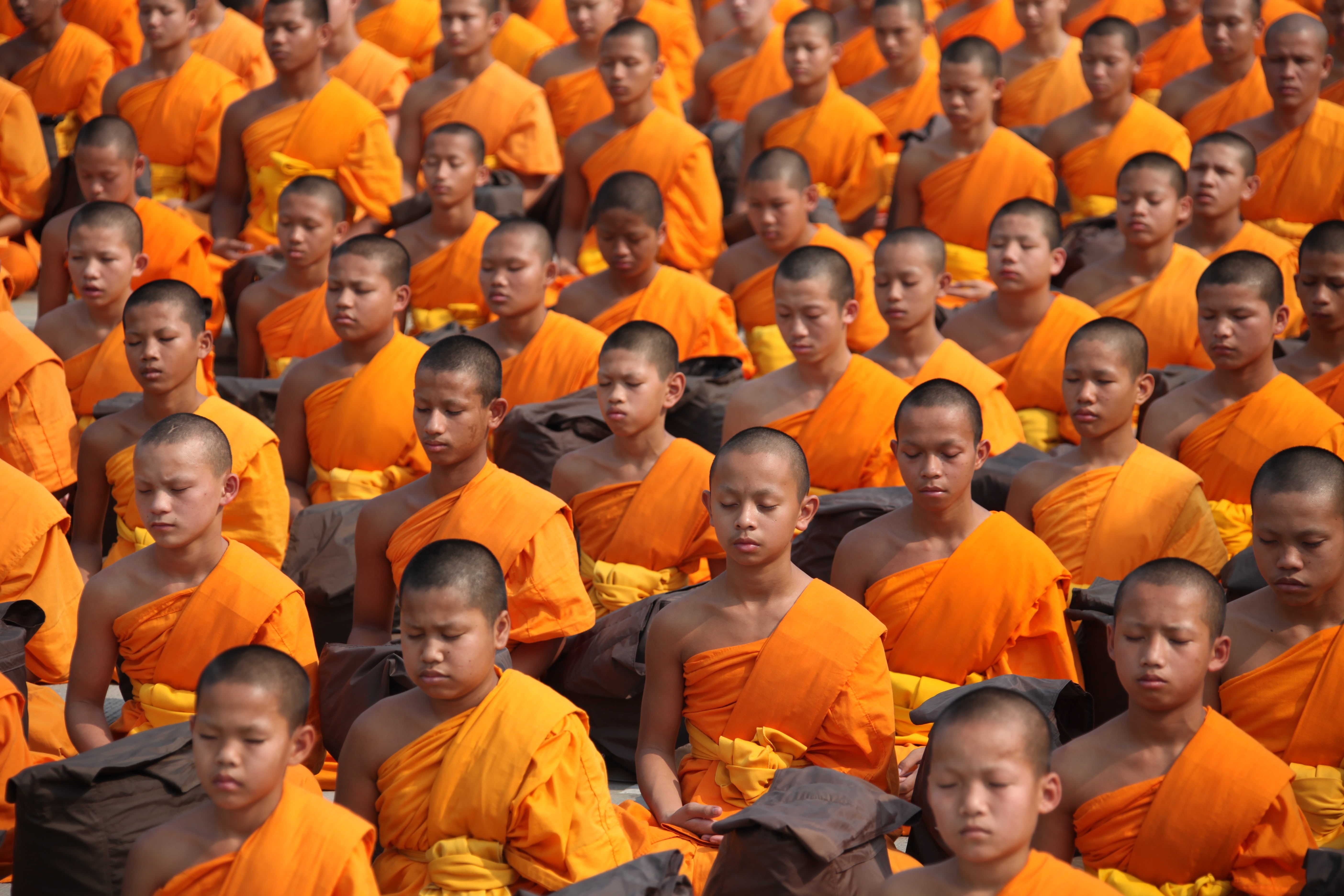 thailand, monk - Religious Occupation, million, novices, dom, ceremony, dhammakaya pagoda, festival, emotion, group, meditate, young adult, praying, quiet, HD Wallpaper
