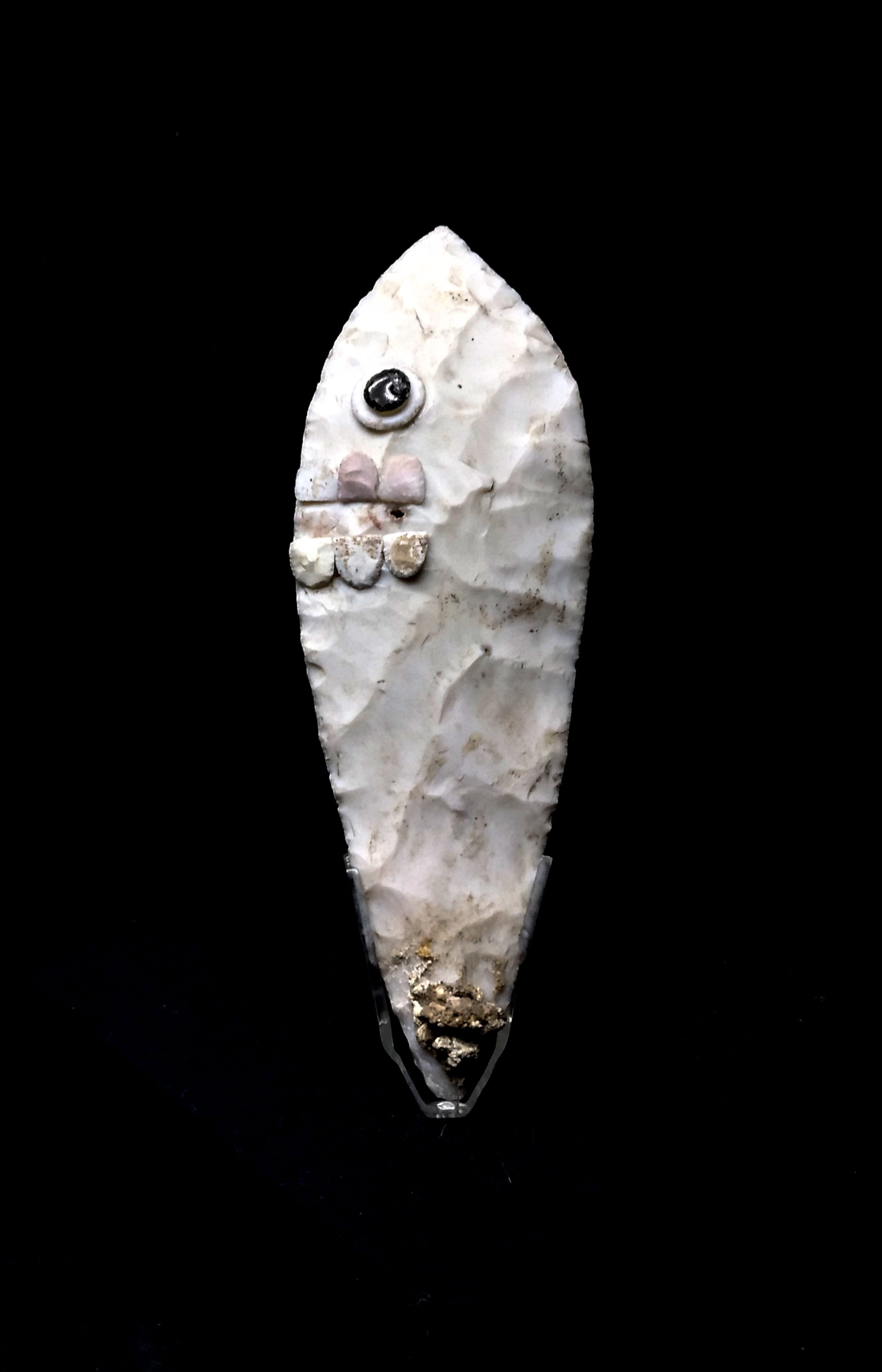 vertebrate, tourism, shell, museum, culture, history, one animal, seafood, rock, still life, civilization, travel, studio shot, 2K, animal shell, archeology, Phone HD Wallpaper