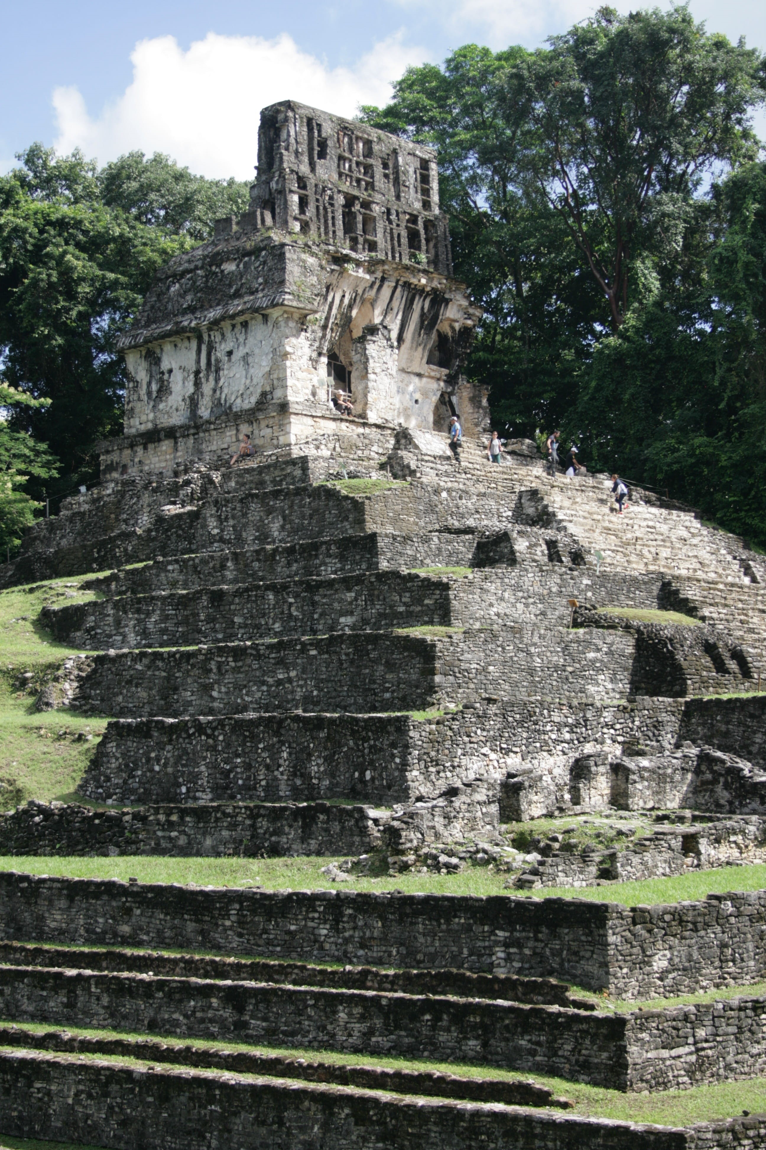 jungle, travel, religion, built structure, ancient civilization, culture, nature, temple, ancient, building exterior, building, monument, archaeology, old ruin, Phone HD Wallpaper