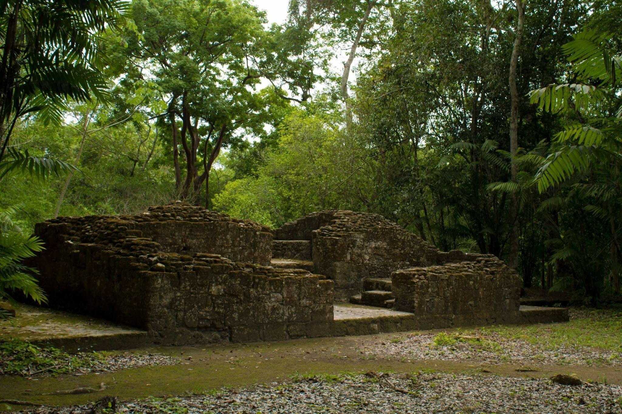 outdoors, cemetery, plant, history, built structure, mesoamérica, Culture, the Past, growth, travel destinations, damaged, old, nature, 1080P, stone Material, HD Wallpaper