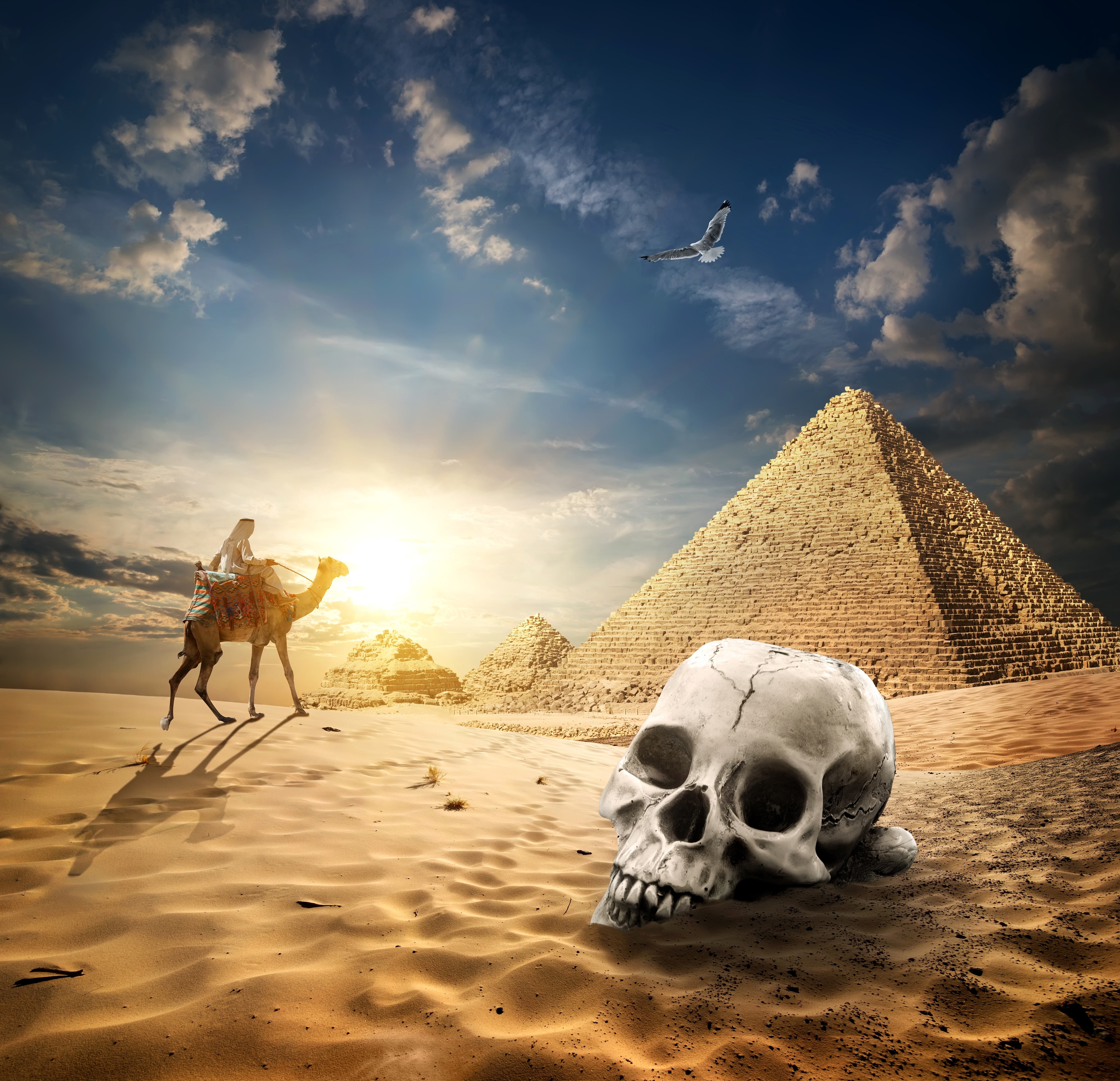 Egypt, pyramid, 5K, the sun, bird, nomad, Cairo, sand, clouds, camel, Bedouin, desert, skull, the sky, HD Wallpaper