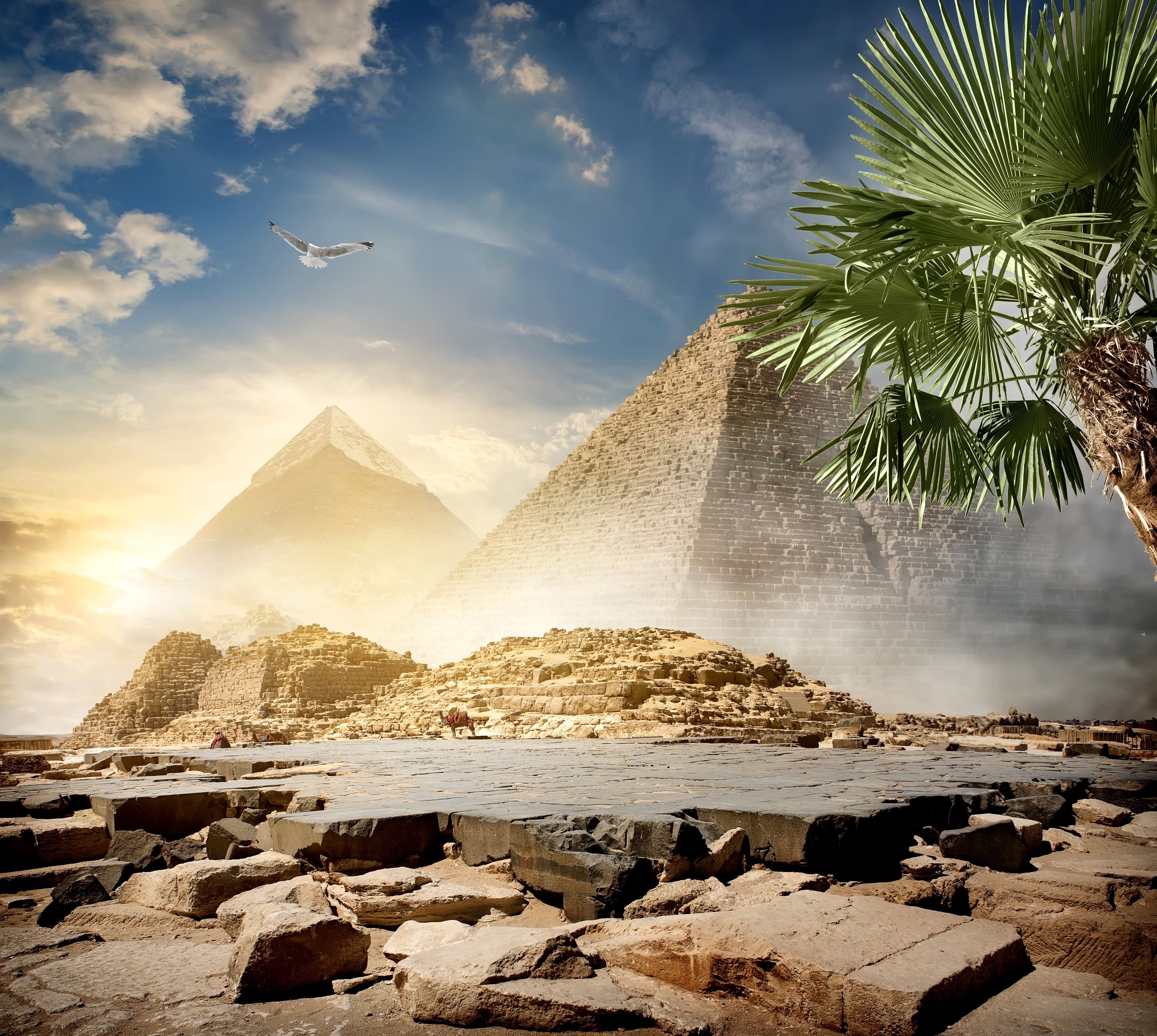 no people, desert, bird, Egypt, the sky, camels, water, outdoors, landscape, clouds, mountain, pyramid, travel destinations, scenics - nature, 4K, tree, HD Wallpaper