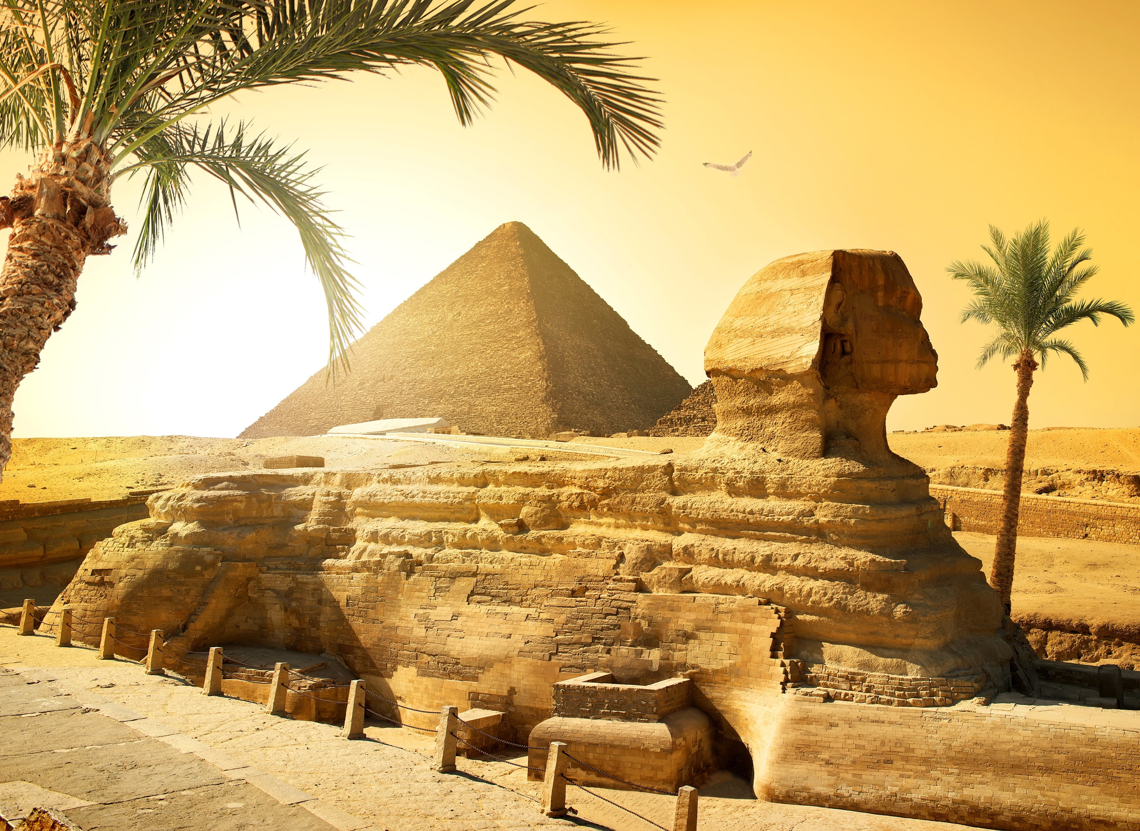 stones, palm trees, arid climate, history, nature, archaeology, climate, the past, 4K, land, bird, ancient, tropical climate, the sun, day, travel destinations, HD Wallpaper