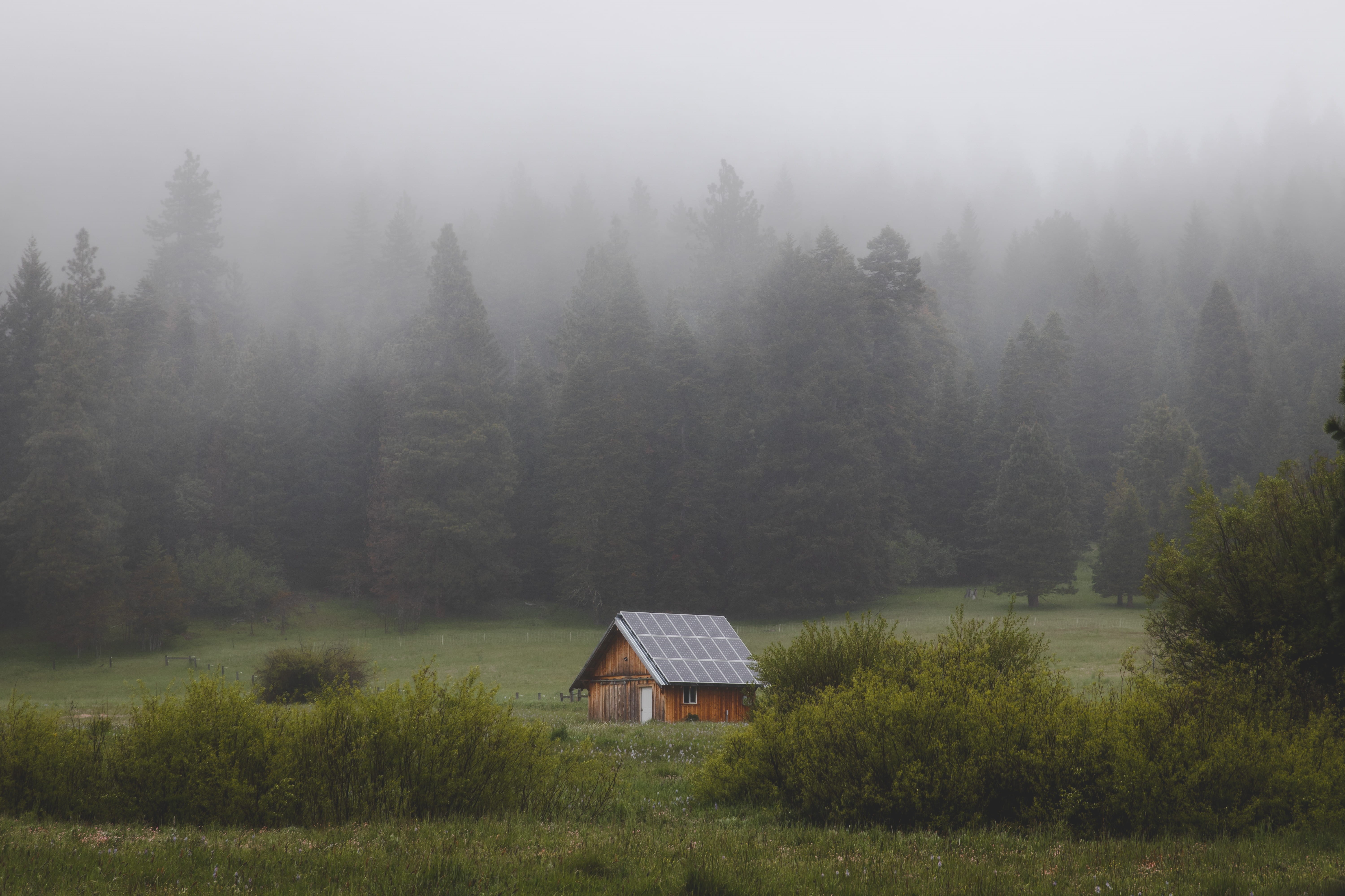 house, brown, pine, plant, cloud, cabin, building, solar panel, farm, land, field, tree, outdoors, environment, fog, green, nature, off the grid, grass, HD Wallpaper