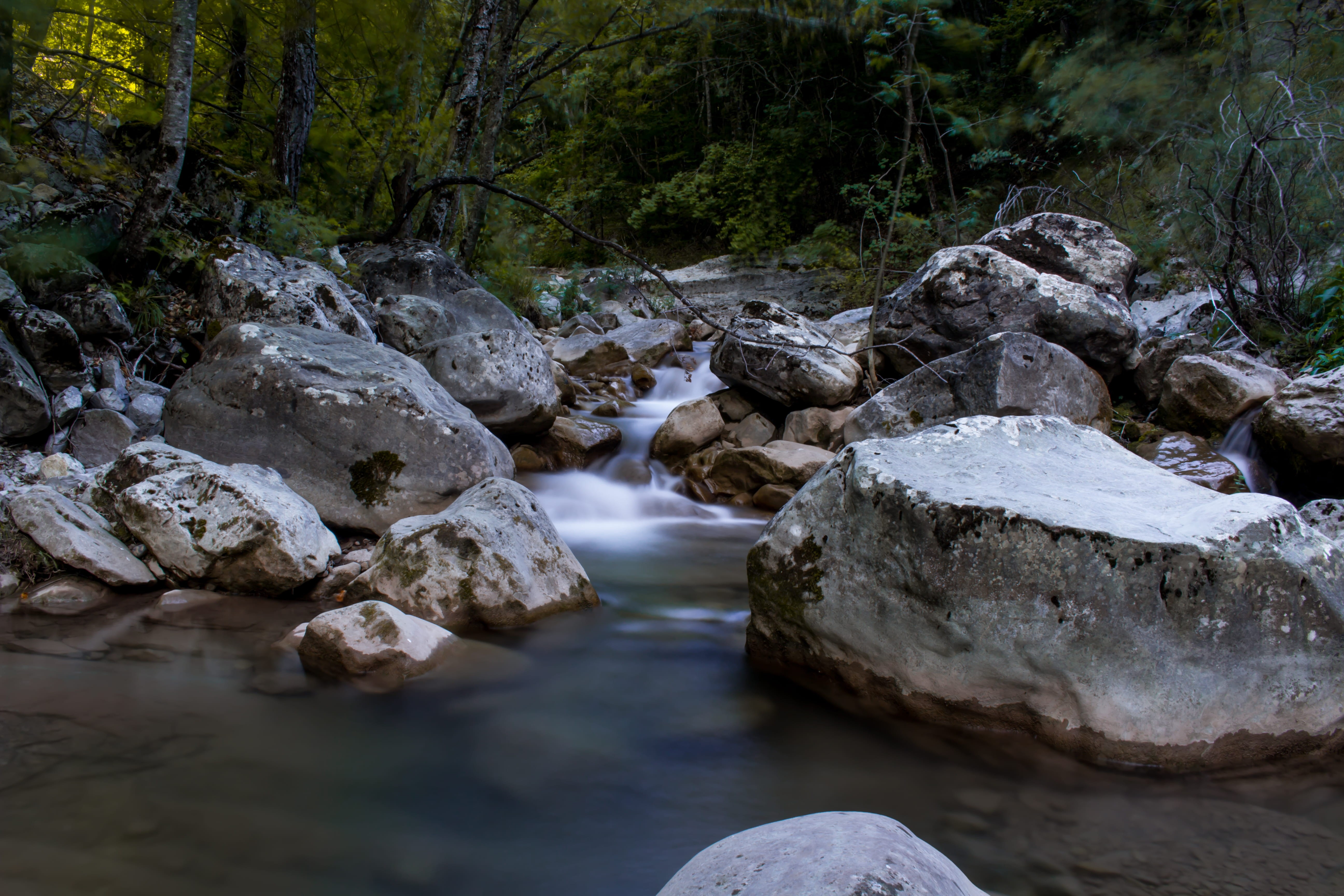 no people, flowing, tranquility, rock, rock - object, nature, france, solid, 5K, river, rocks, water, land, stream - flowing water, forest, day, flowing water, HD Wallpaper