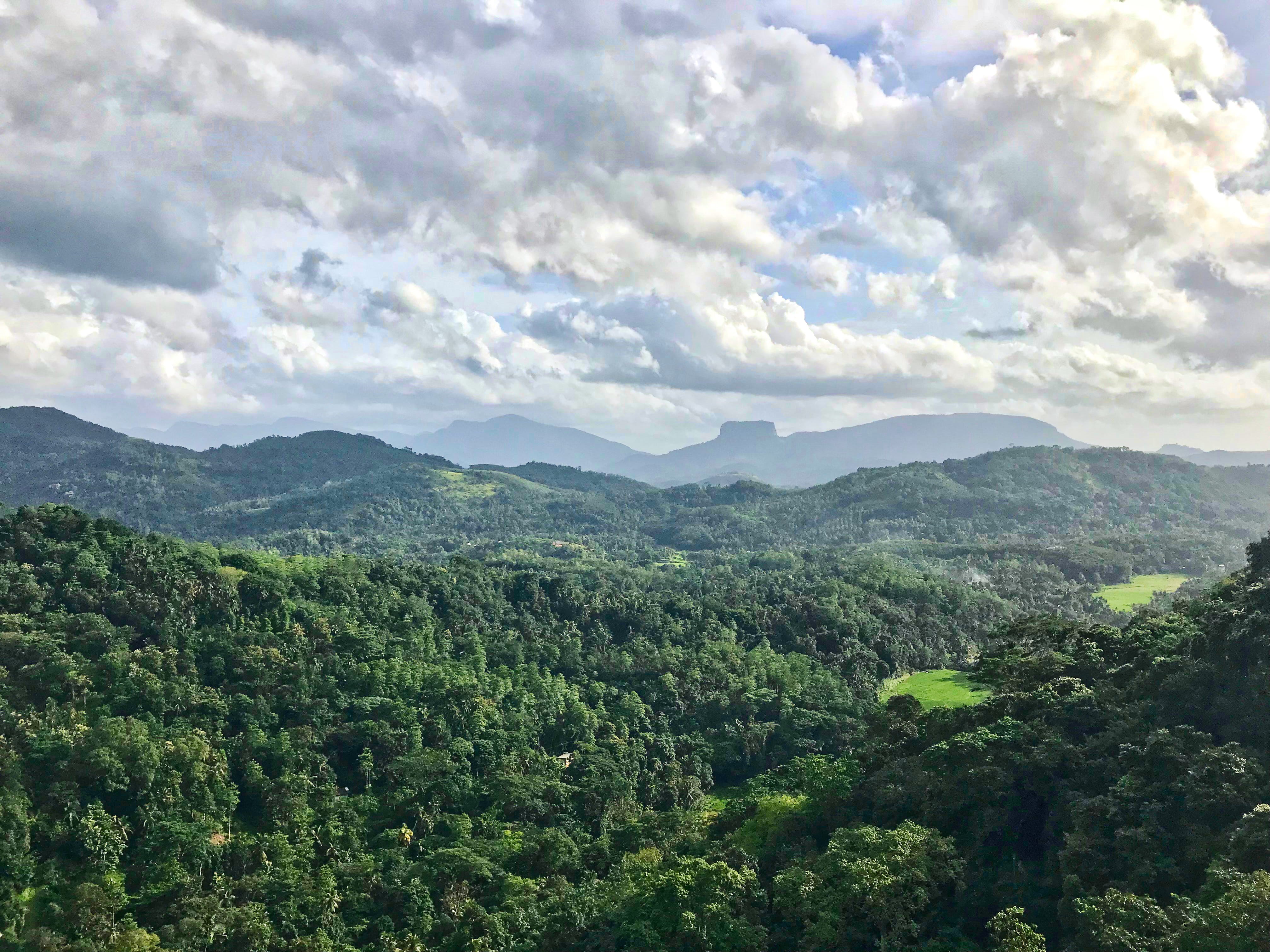 beauty in nature, foliage, forest, mountain, green color, plant, growth, kadugannawa, tree, cloud - sky, nature, tranquil scene, outdoors, sky, day, non-urban scene, HD Wallpaper