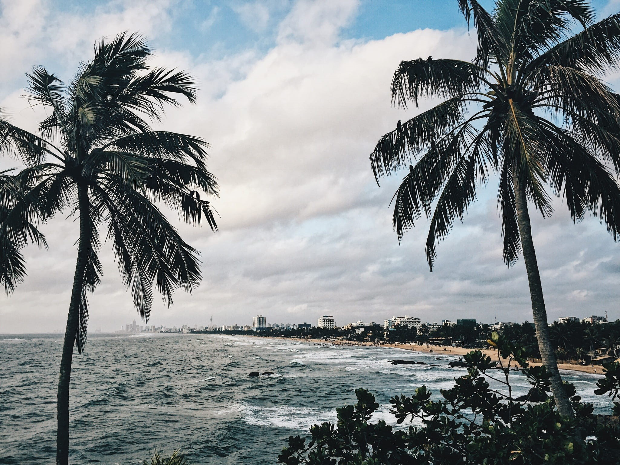 no people, outdoors, water, horizon over water, plant, palm tree, cloud - sky, forest, sea, coconut palm tree, tropical tree, land, sri lanka, wave, beach, HD Wallpaper