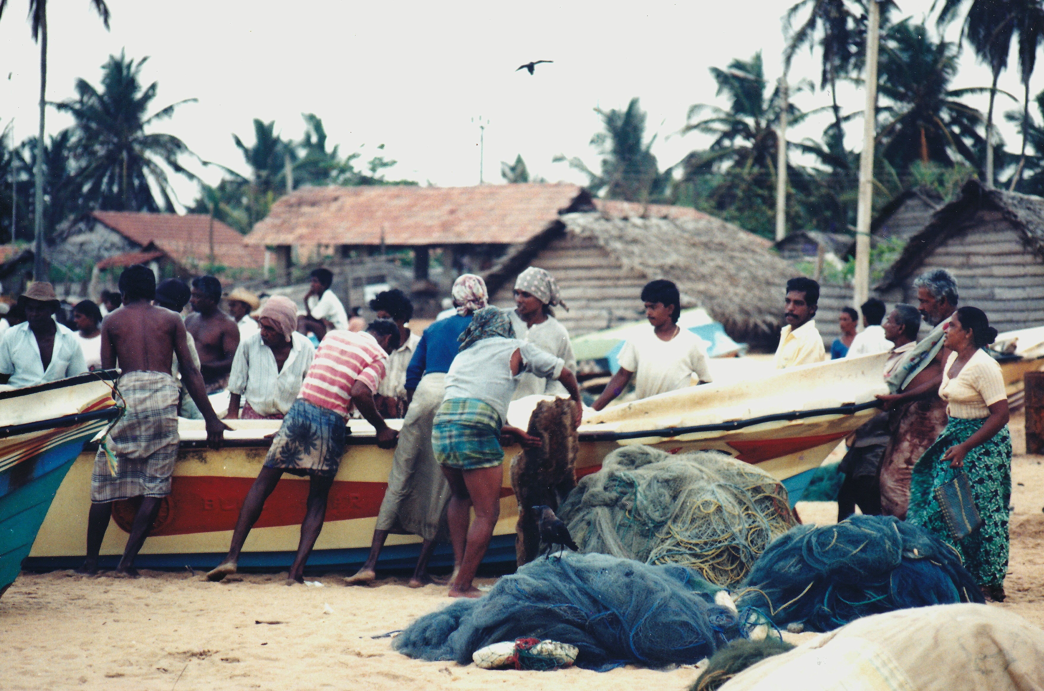 lifestyles, day, fisher, casual clothing, group of people, transportation, colombo, large group of people, sitting, adult, fishing village, focus on foreground, HD Wallpaper