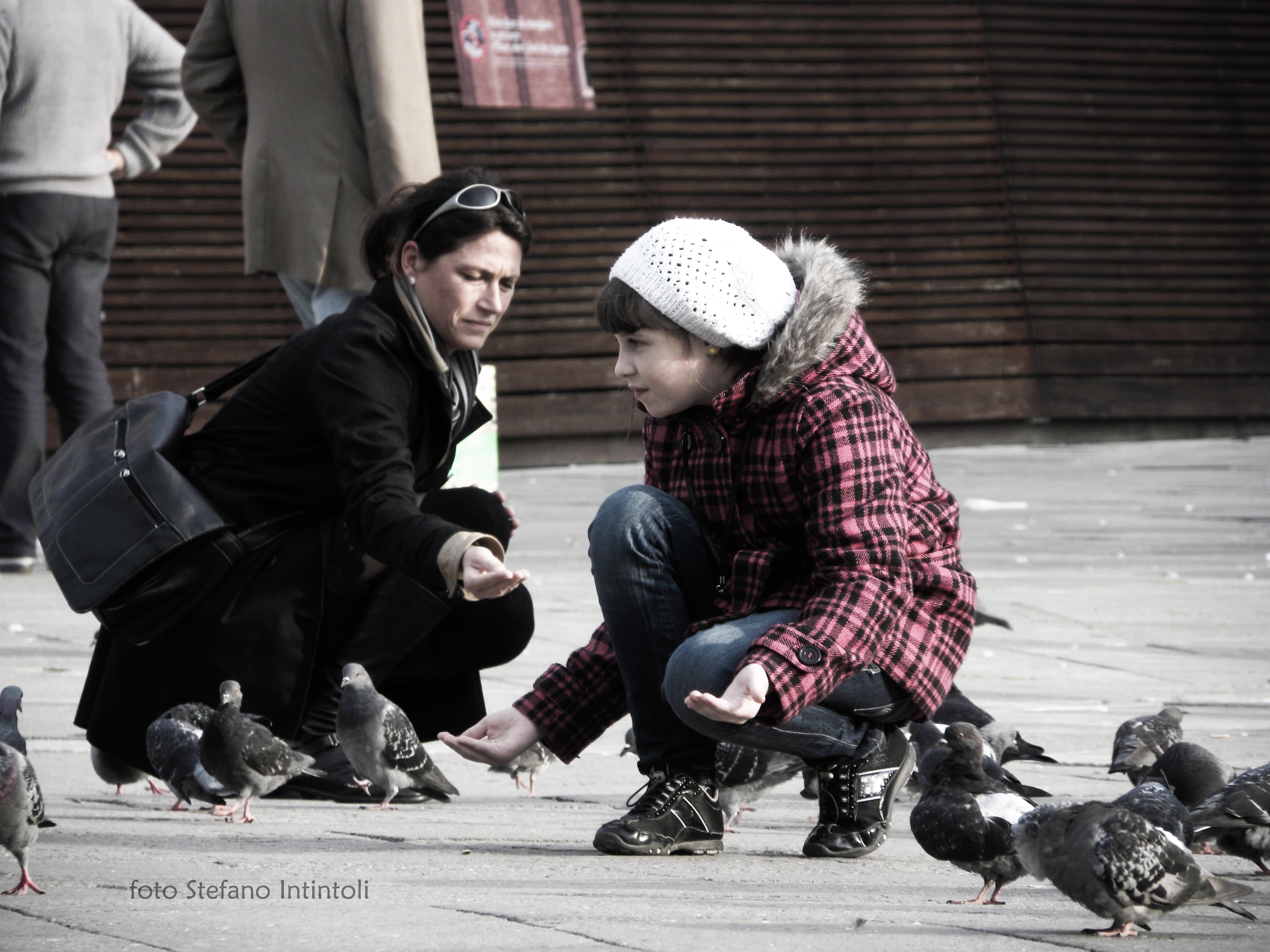 mom, architecture, men, city, warm clothing, gubbio, little girl, real people, birds, sitting, family, hat, pigeons, group of people, piazza, people, clothing, HD Wallpaper